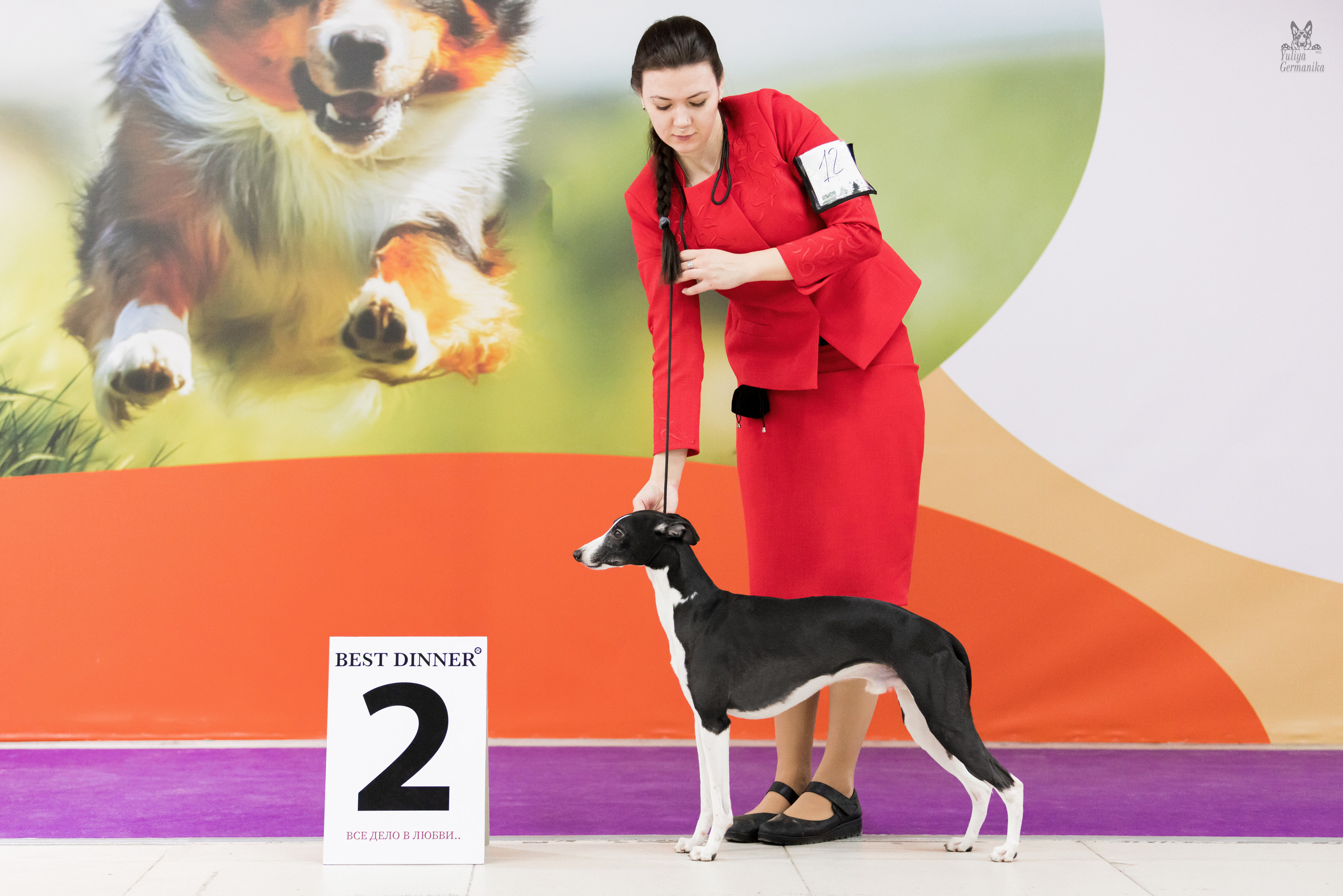 Чайна-Таун 5-8.01.2023. Фотограф-анималист Юлия Германика