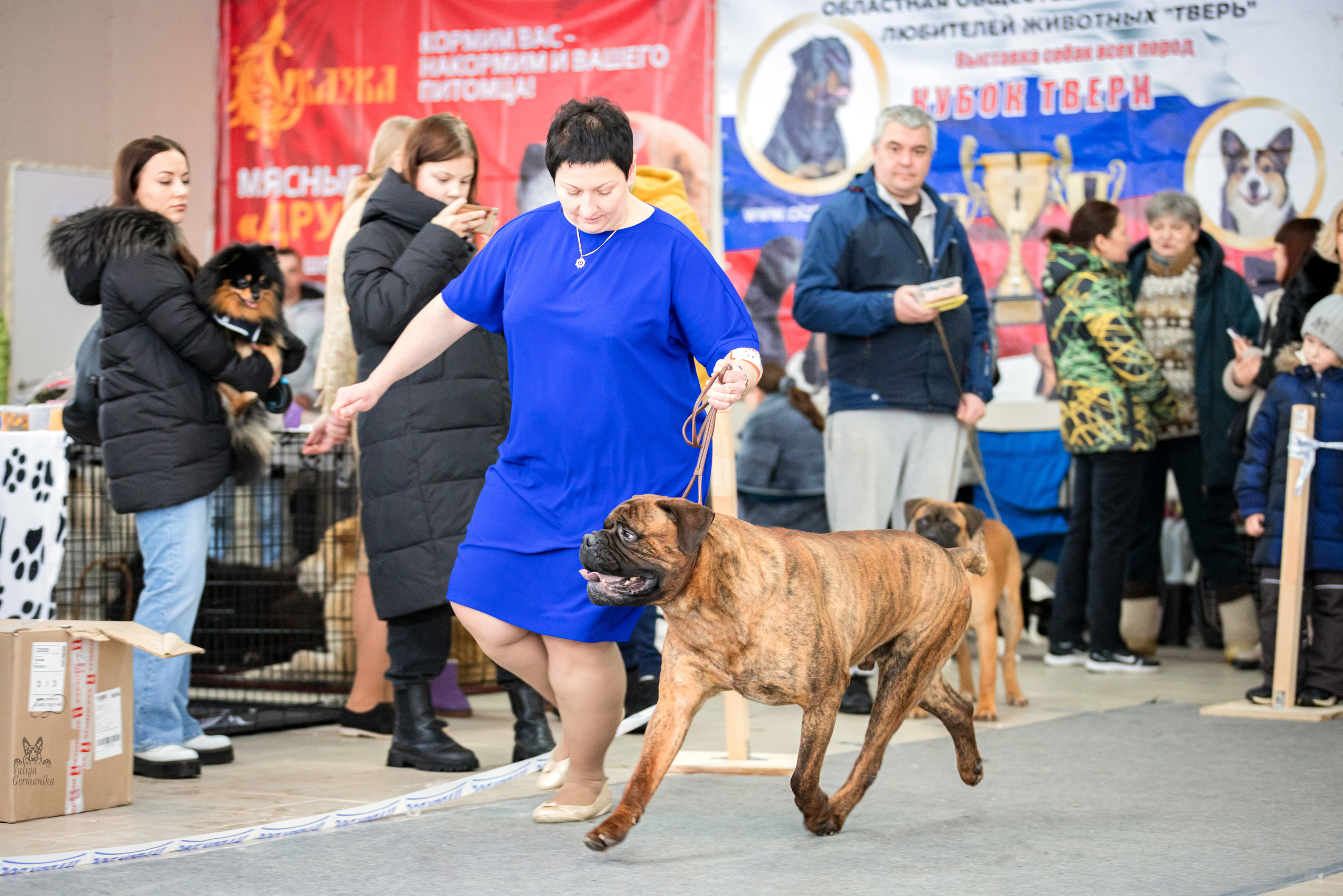 Тверь 19.02.2023. Фотограф-анималист Юлия Германика