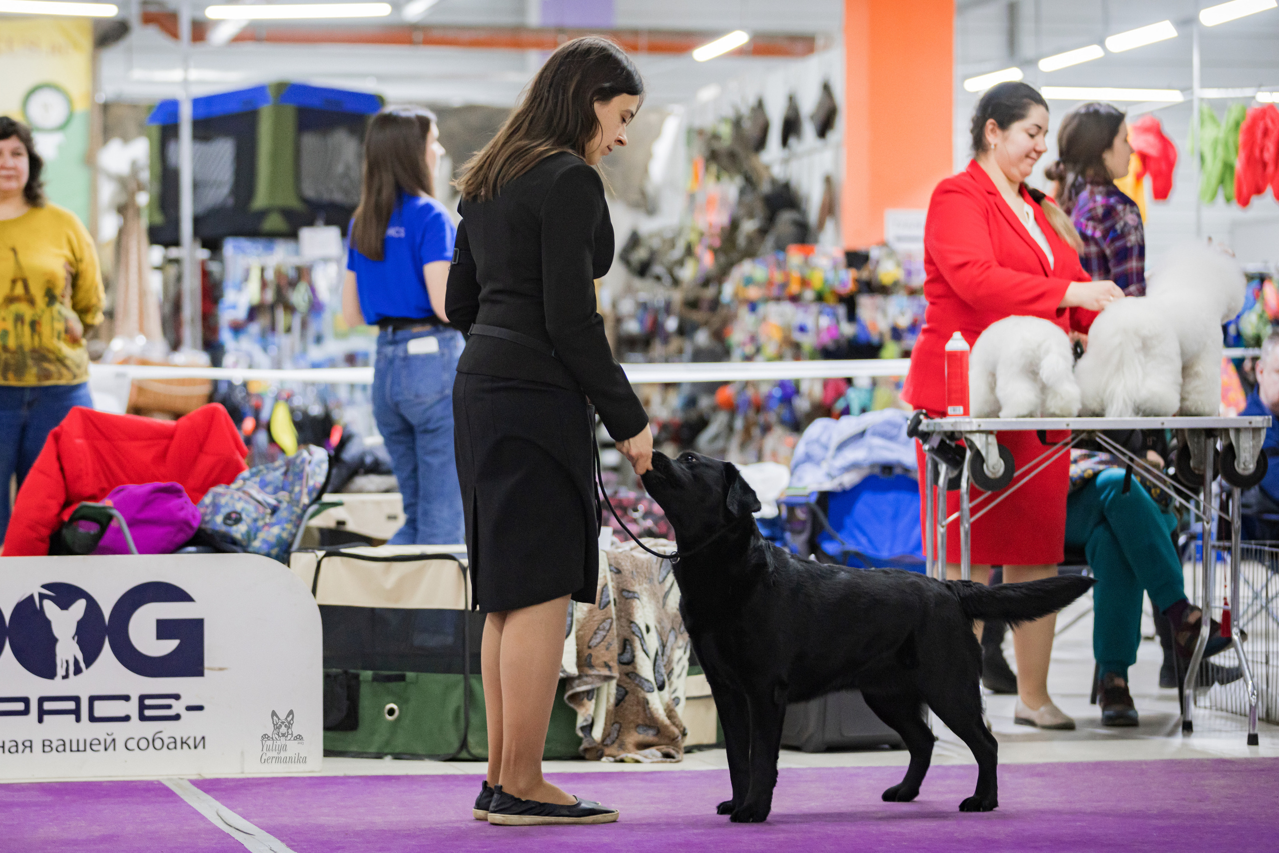 Чайна-Таун 4-5.02.2023. Фотограф-анималист Юлия Германика