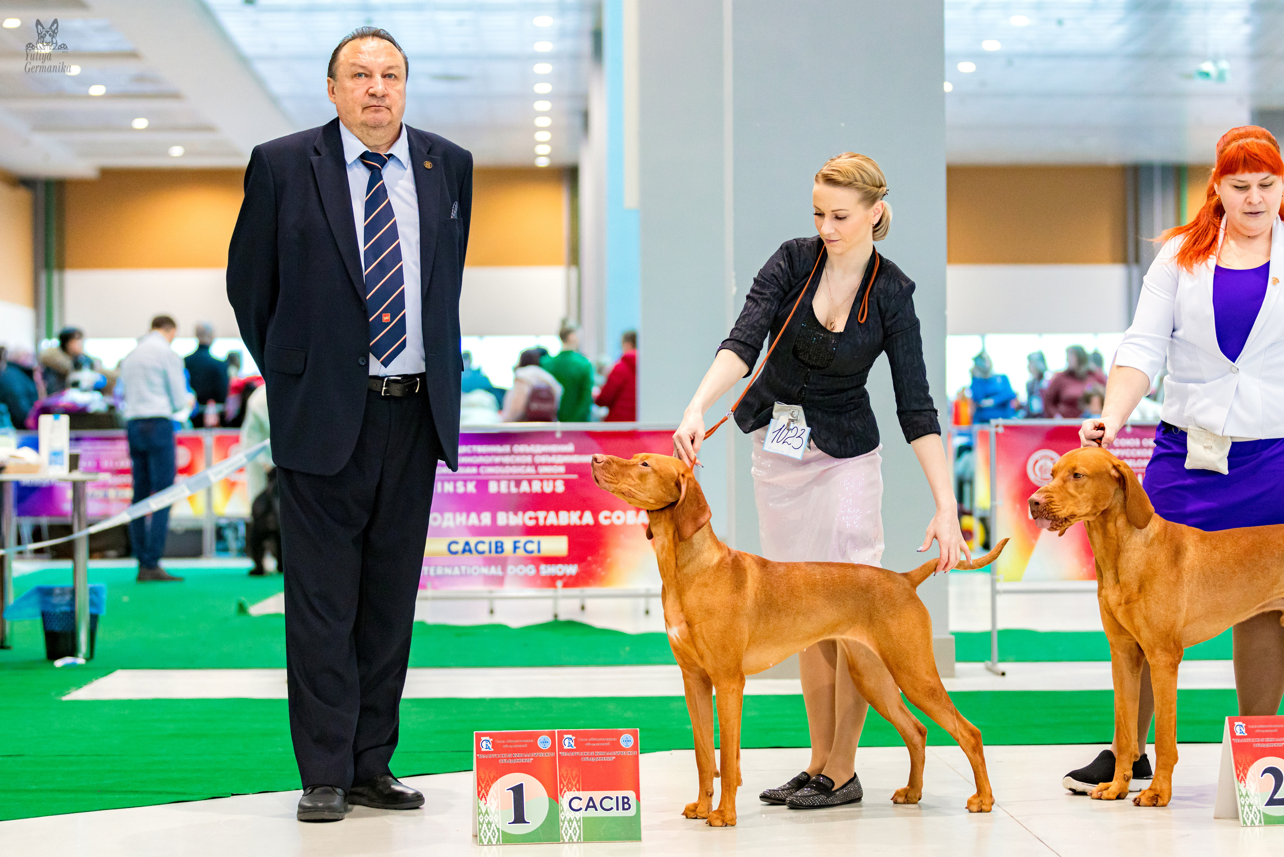 Минск 25-26.02.2023. Фотограф-анималист Юлия Германика