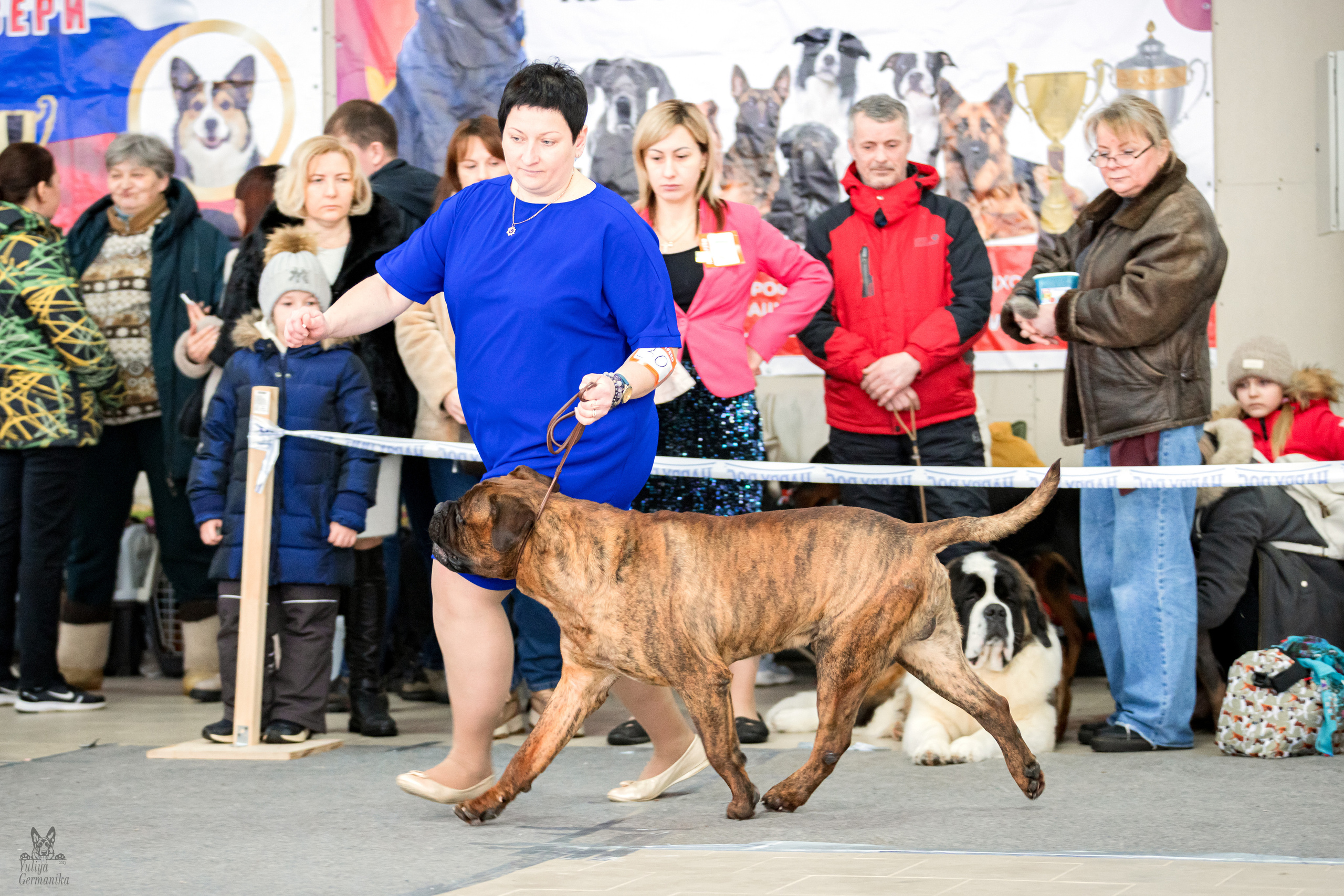 Тверь 19.02.2023. Фотограф-анималист Юлия Германика