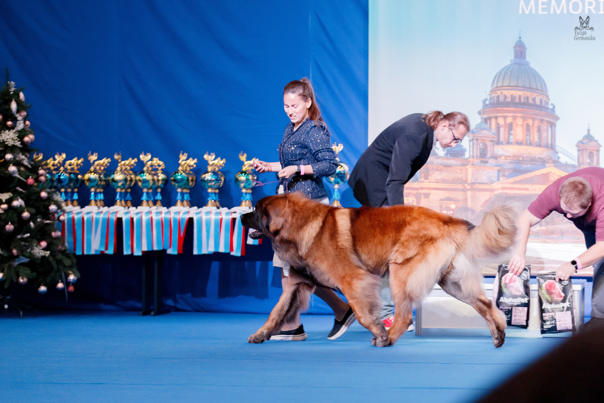 Питер 17-18.12.2022. Фотограф-анималист Юлия Германика