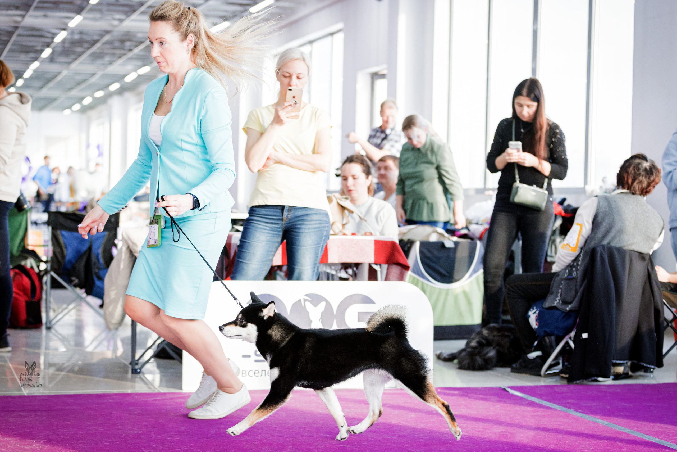 Можайский двор 18.02.2023. Фотограф-анималист Юлия Германика