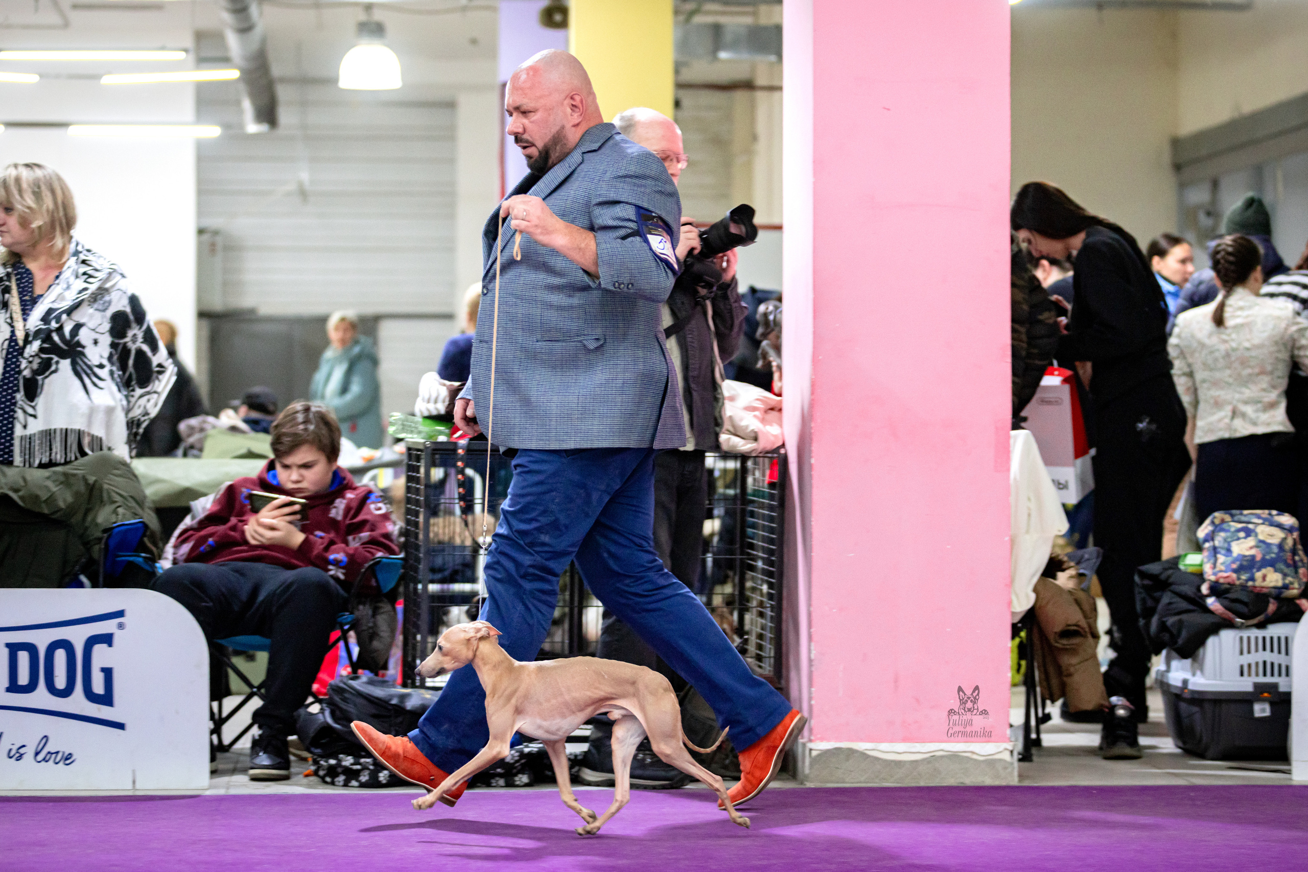 Чайна-Таун 15,21 и 22.01.2023. Фотограф-анималист Юлия Германика