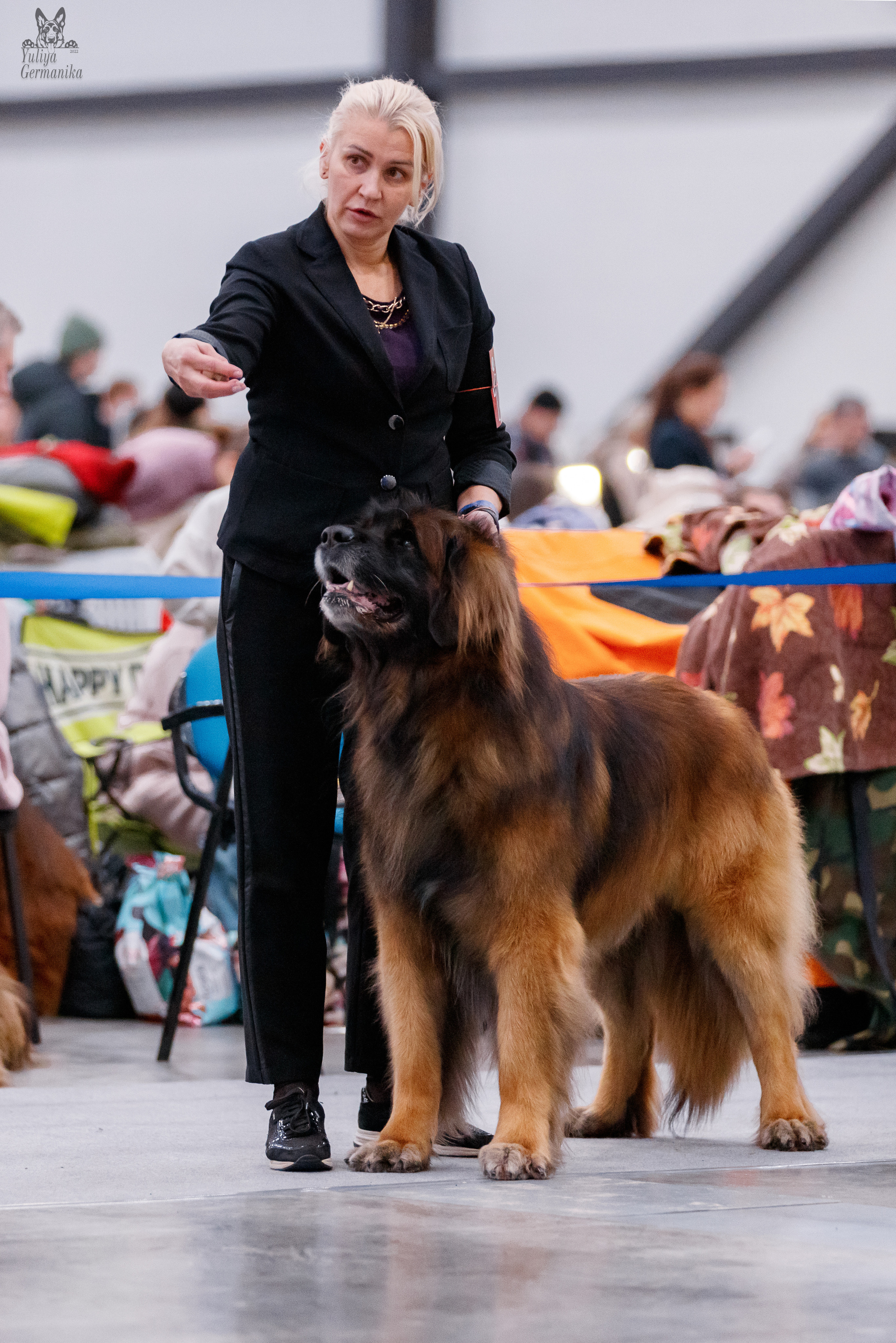 Питер 17-18.12.2022. Фотограф-анималист Юлия Германика