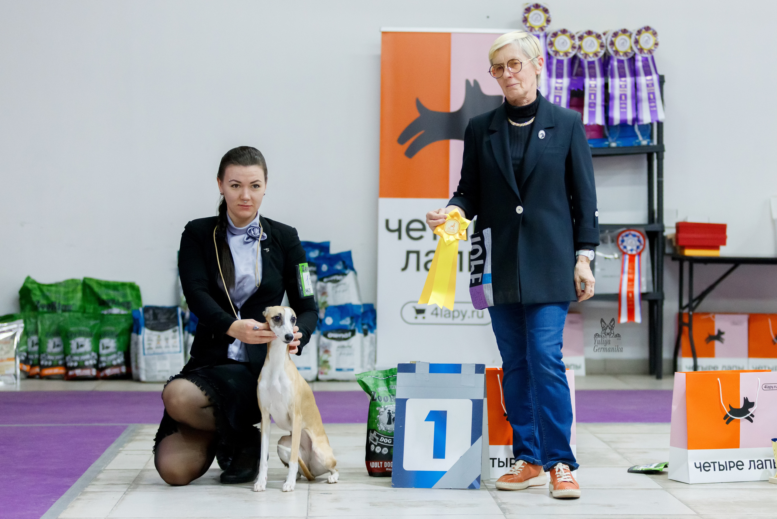 Чайна-Таун 3 и 10.12.2022. Фотограф-анималист Юлия Германика