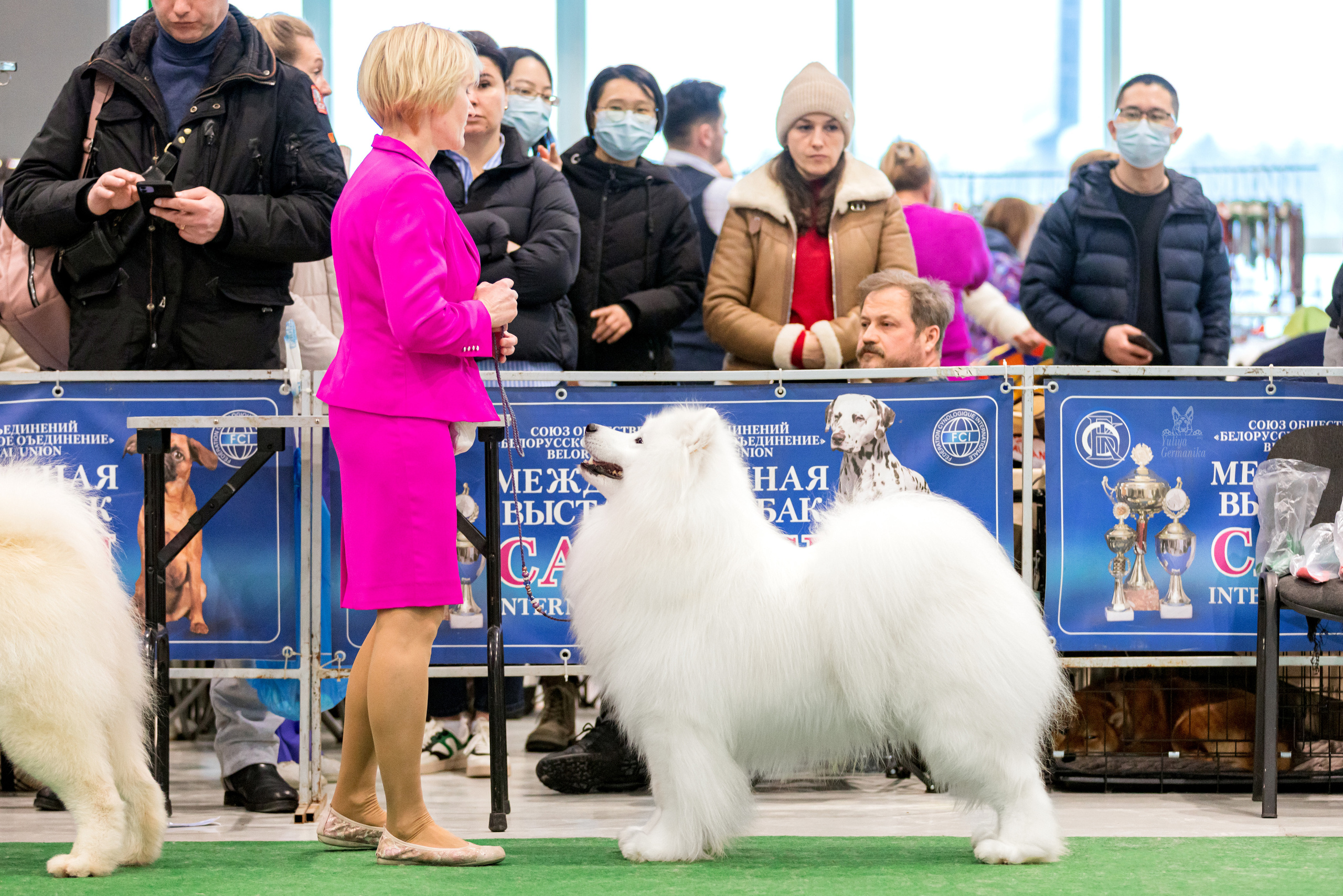 Минск 25-26.02.2023. Фотограф-анималист Юлия Германика