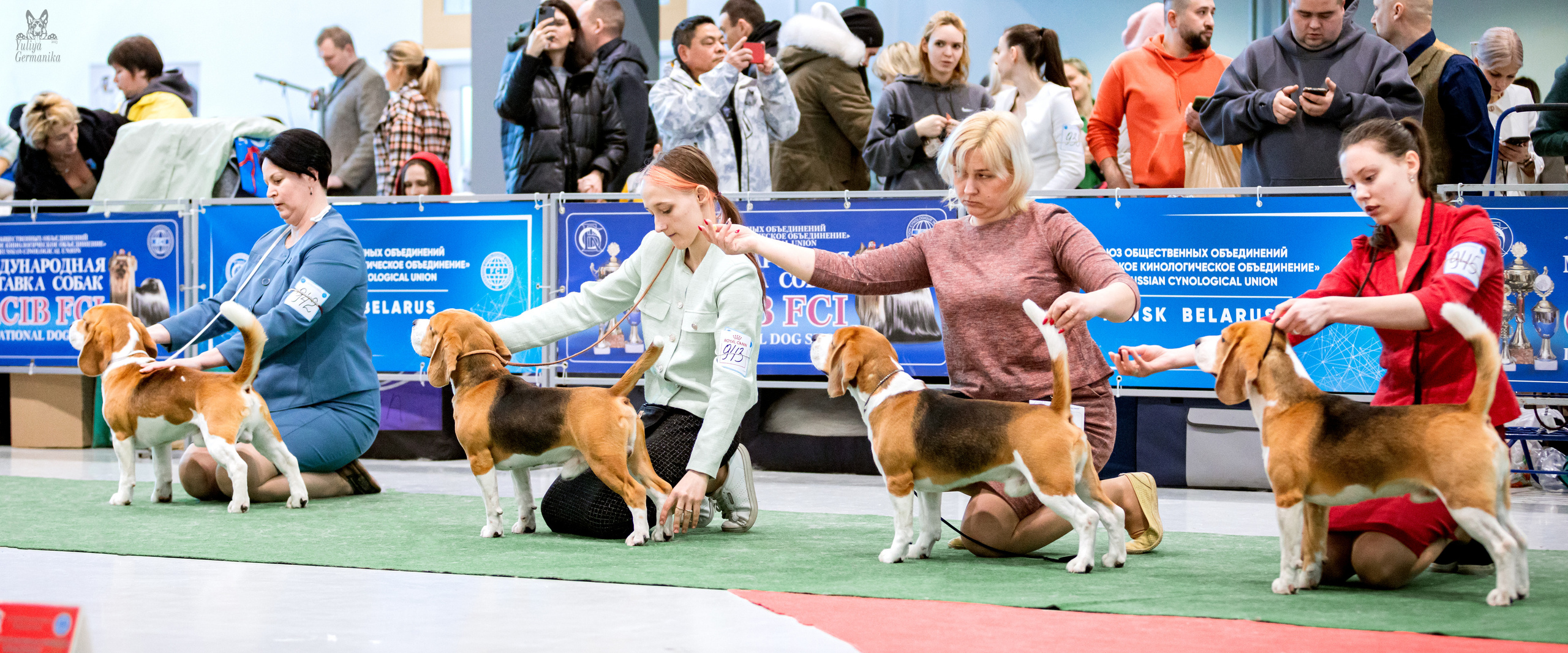 Минск 25-26.02.2023. Фотограф-анималист Юлия Германика