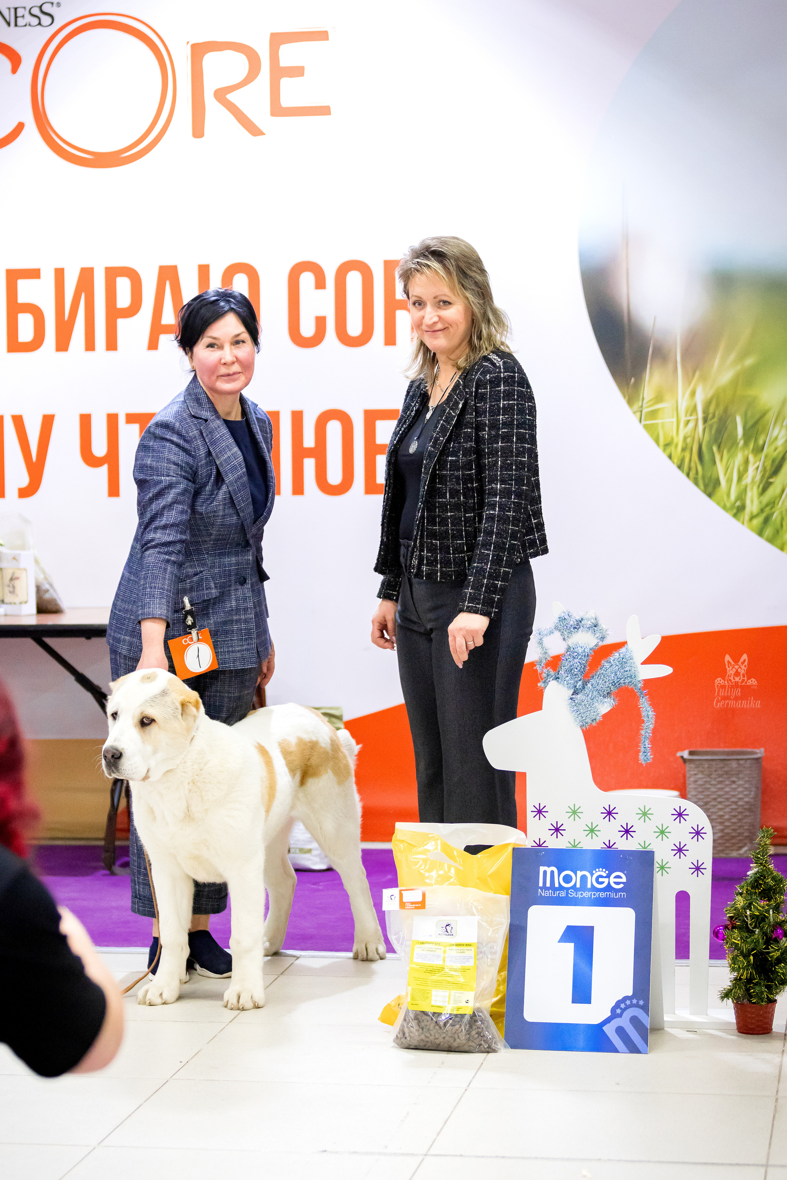 Чайна-Таун 5-8.01.2023. Фотограф-анималист Юлия Германика