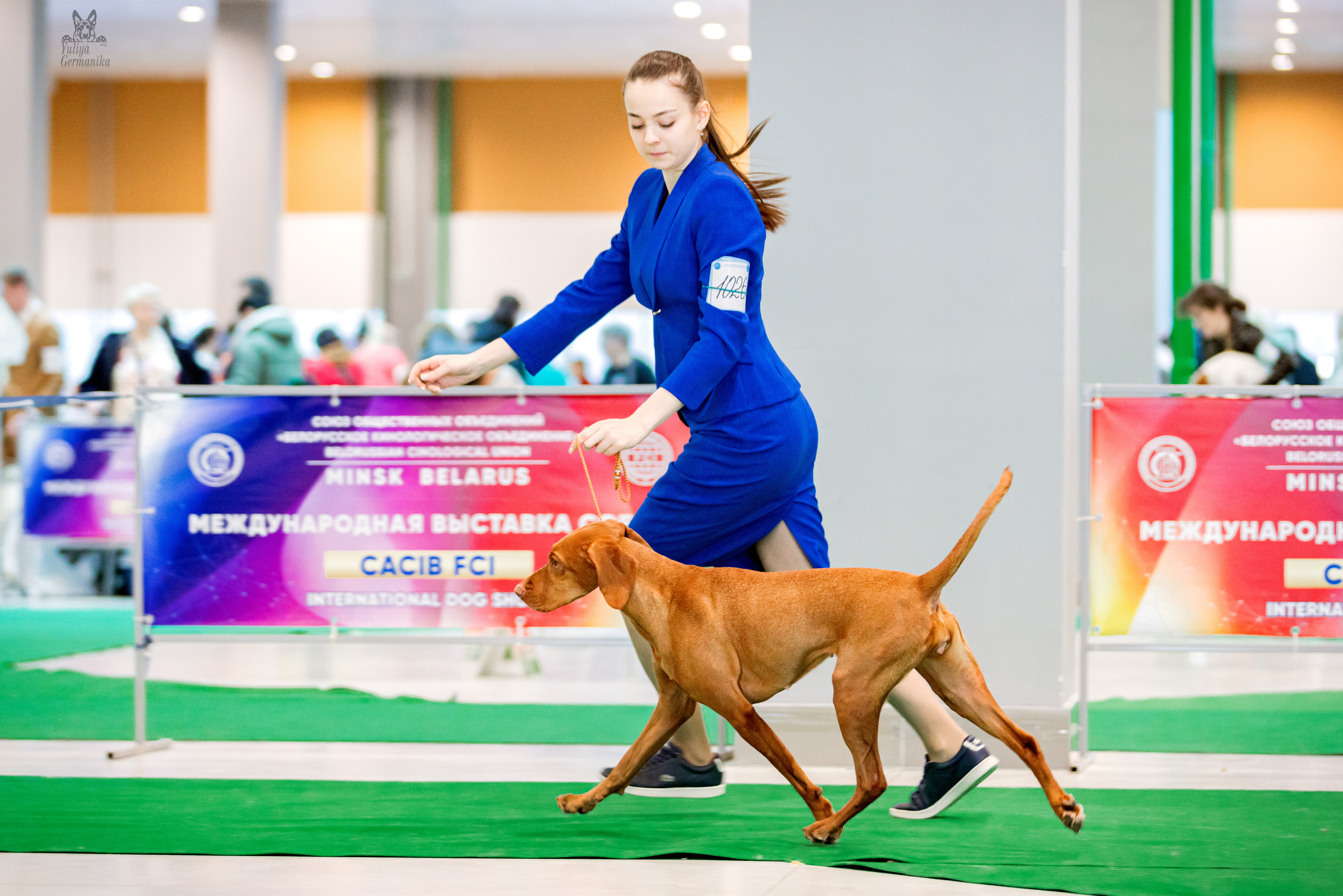 Минск 25-26.02.2023. Фотограф-анималист Юлия Германика