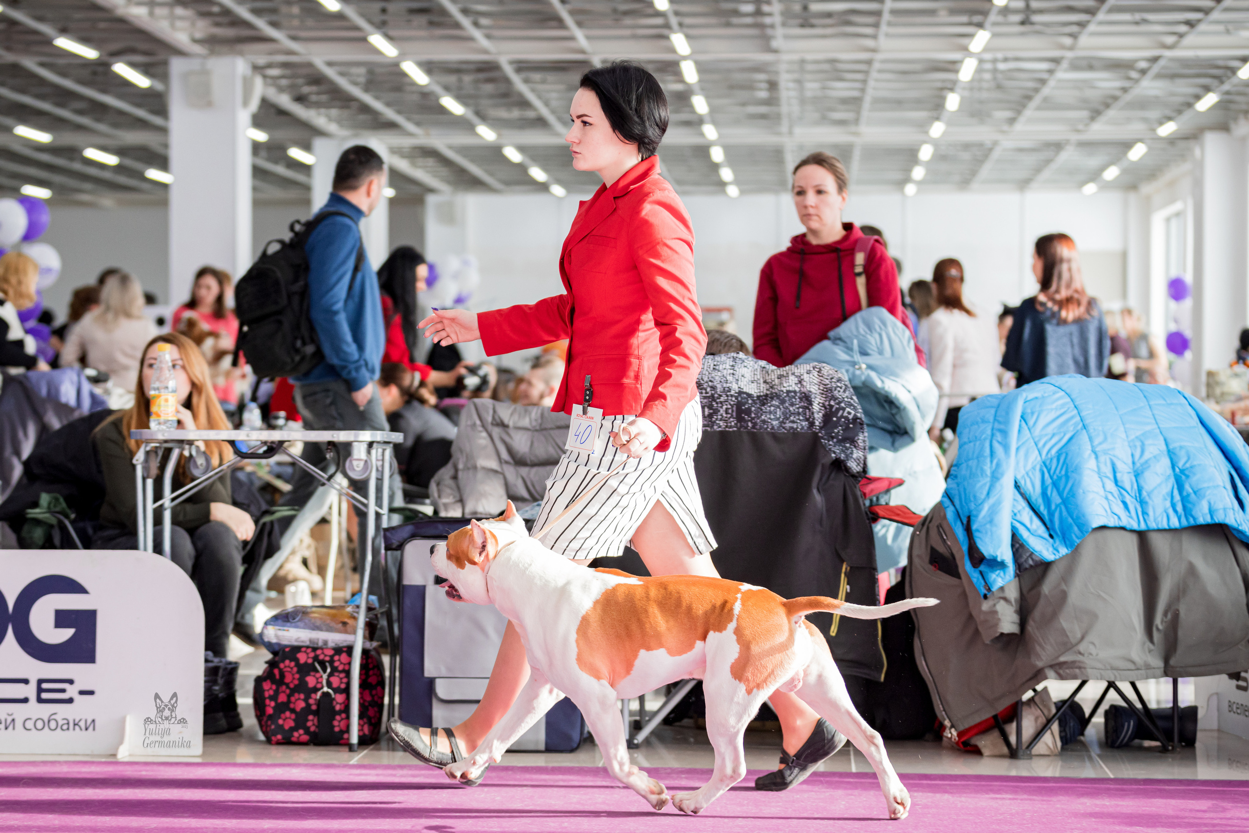 Можайский двор 11-12.02.2023. Фотограф-анималист Юлия Германика