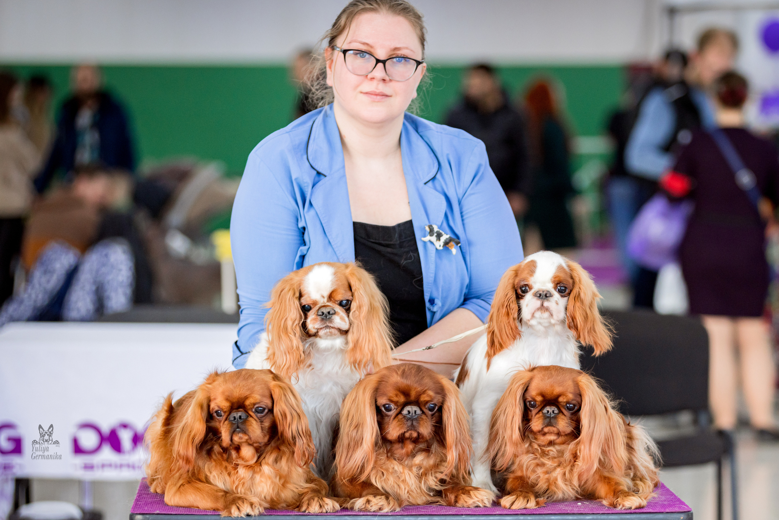 Можайский двор 11-12.02.2023. Фотограф-анималист Юлия Германика