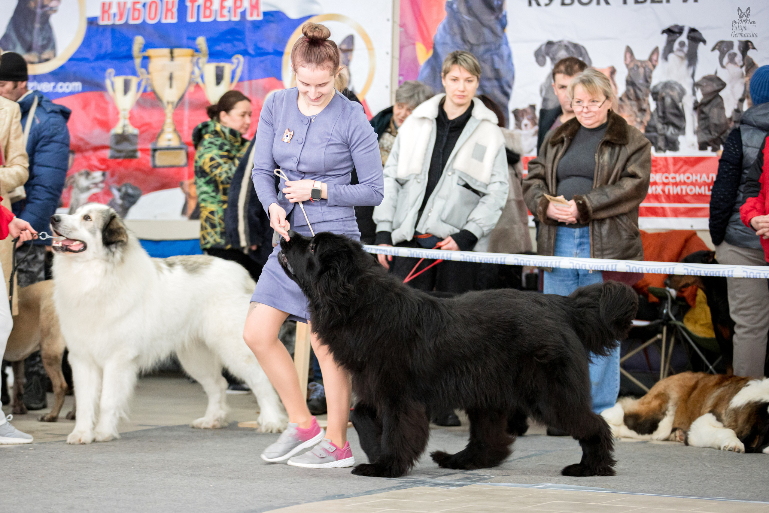Тверь 19.02.2023. Фотограф-анималист Юлия Германика
