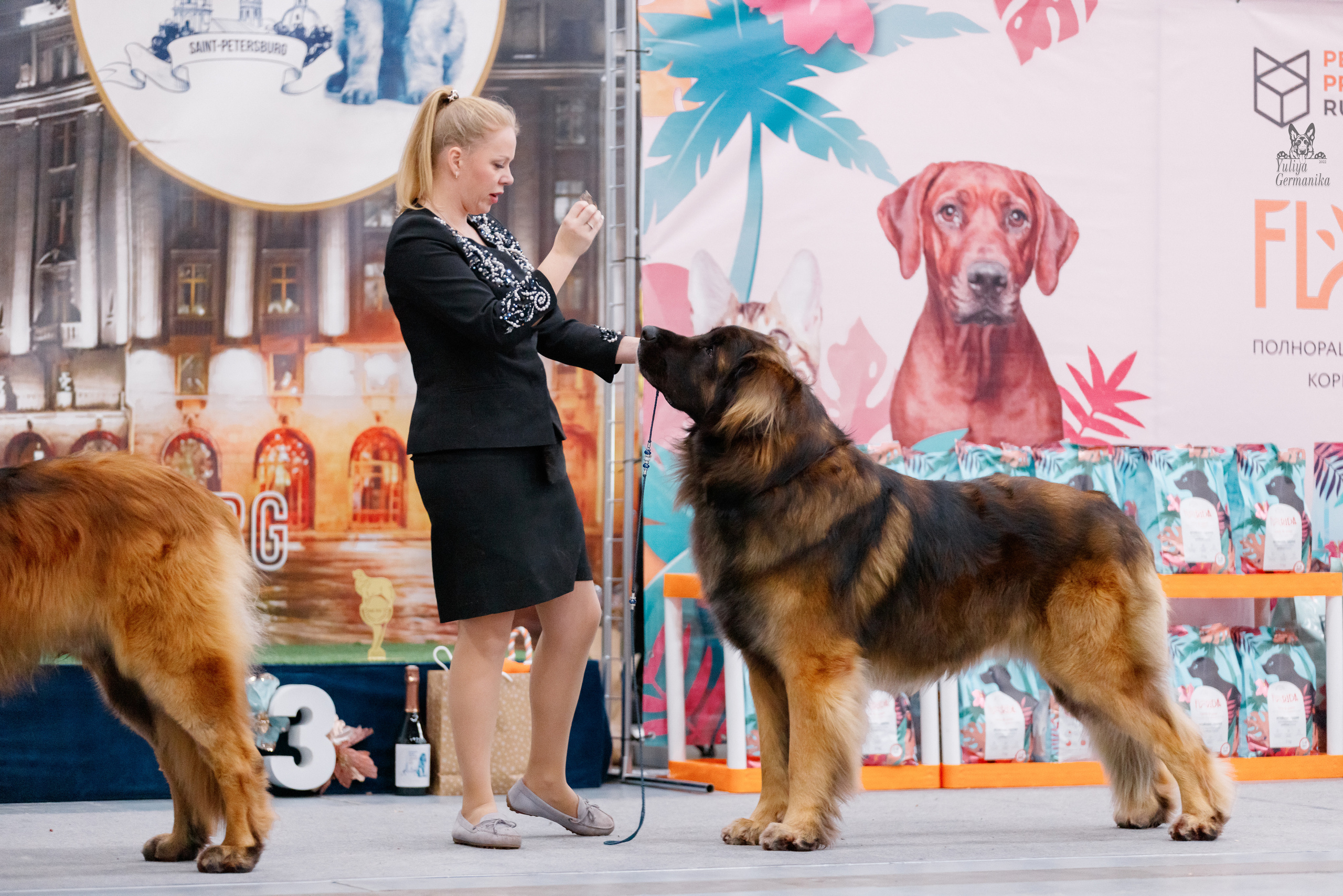 Питер 17-18.12.2022. Фотограф-анималист Юлия Германика