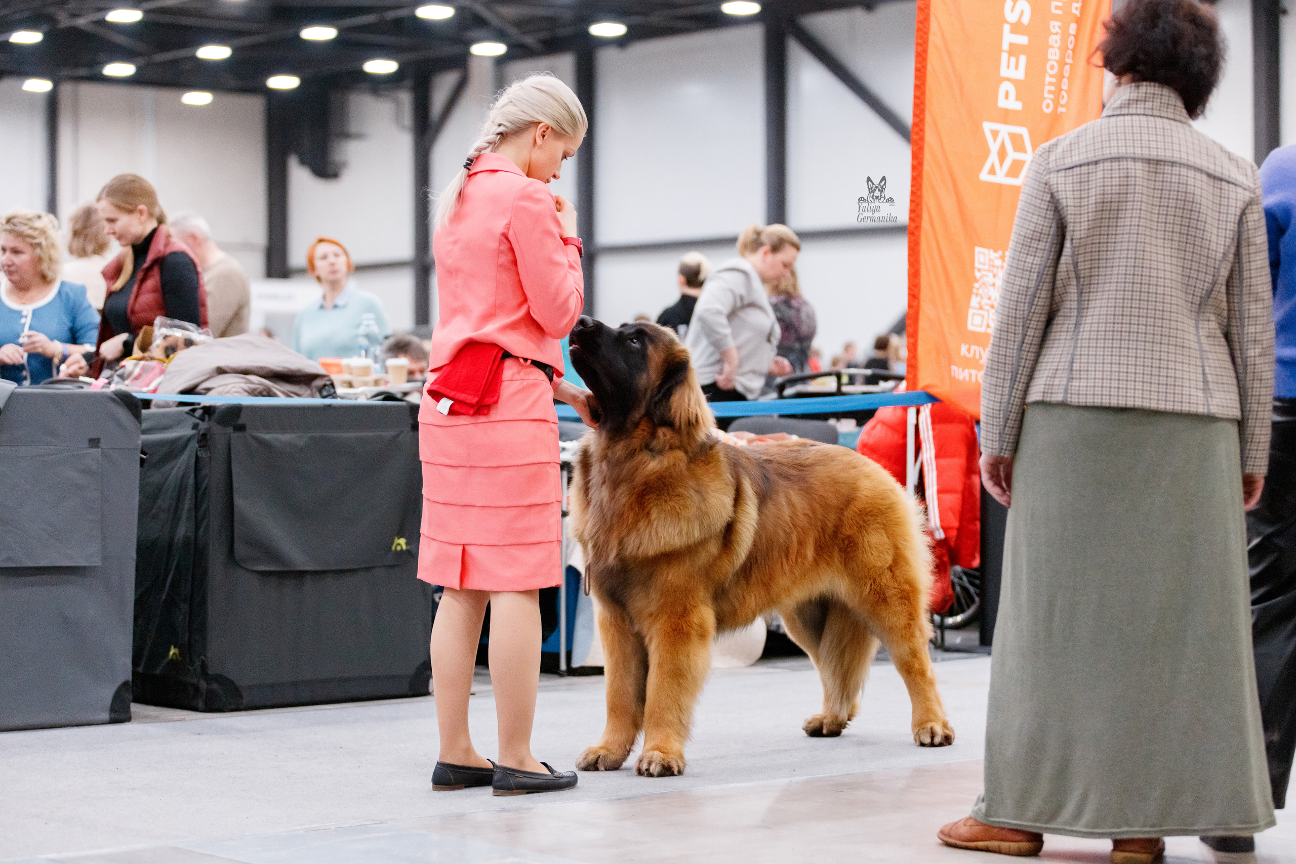 Питер 17-18.12.2022. Фотограф-анималист Юлия Германика