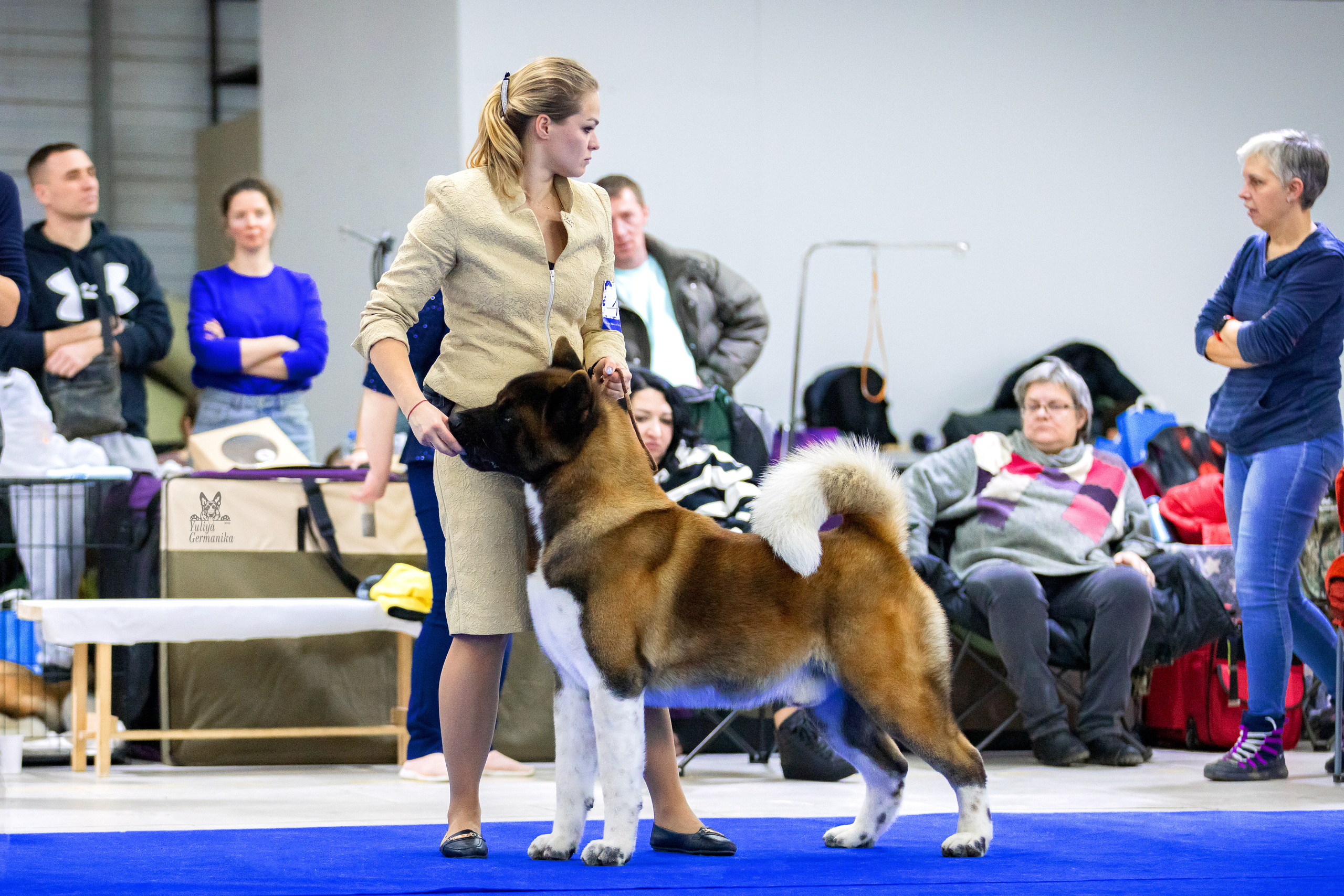 Чайна-Таун 24-25.12.2022. Фотограф-анималист Юлия Германика