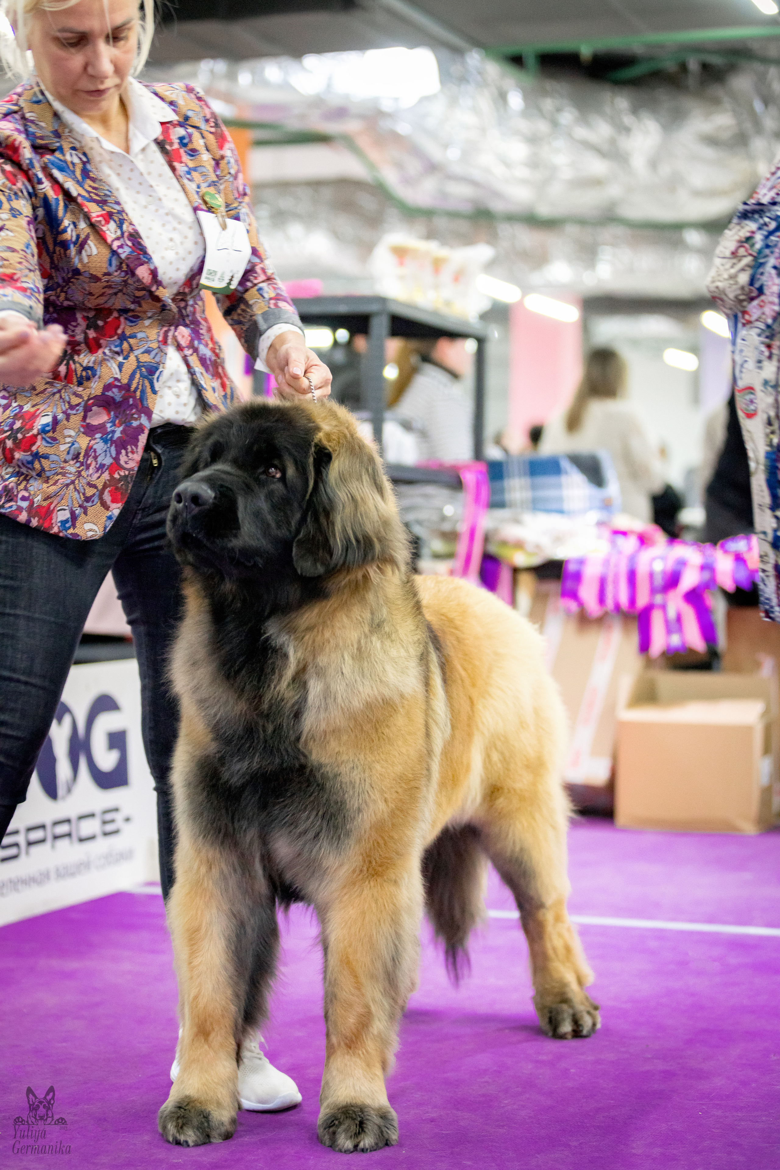 Чайна-Таун 5-8.01.2023. Фотограф-анималист Юлия Германика