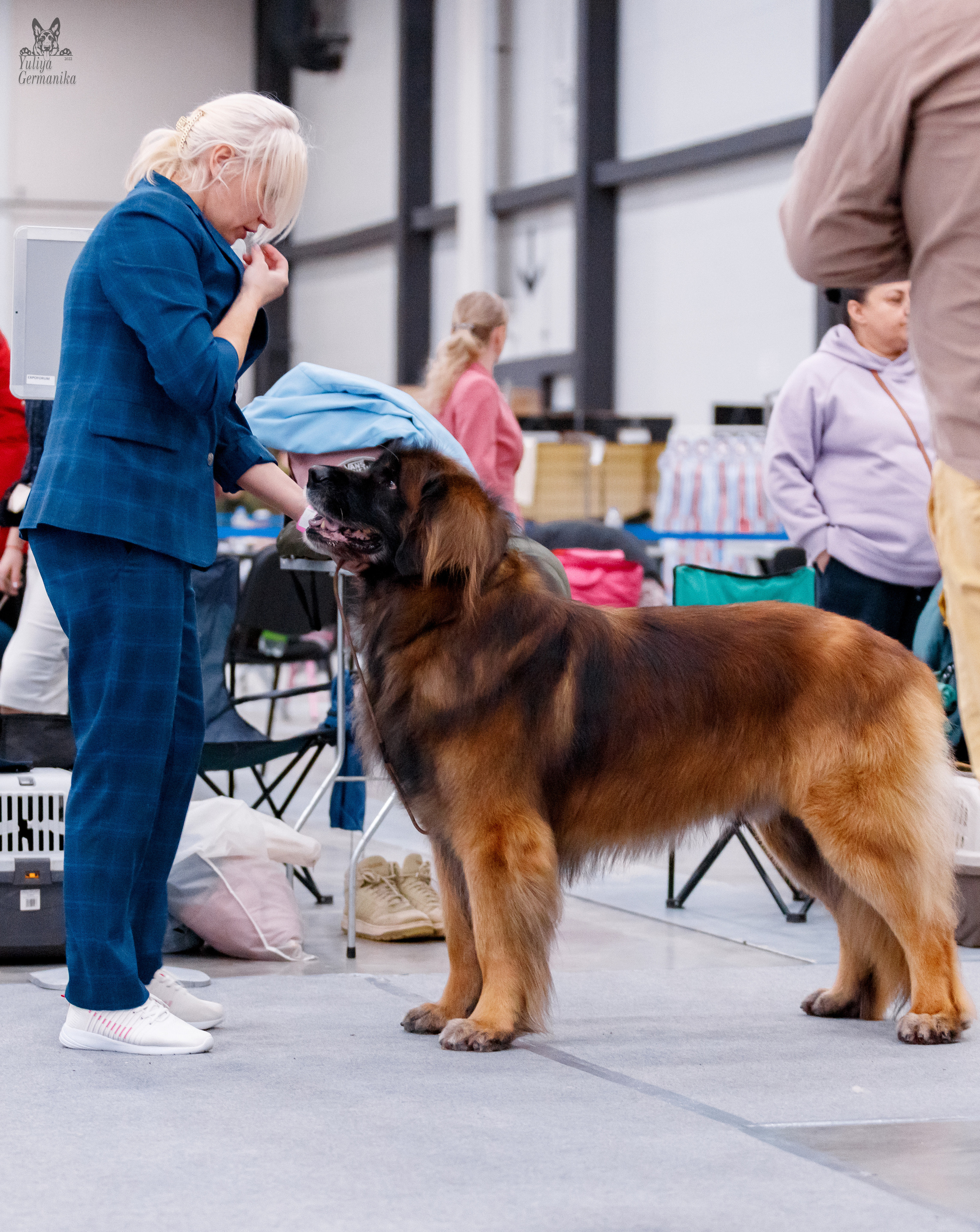 Питер 17-18.12.2022. Фотограф-анималист Юлия Германика