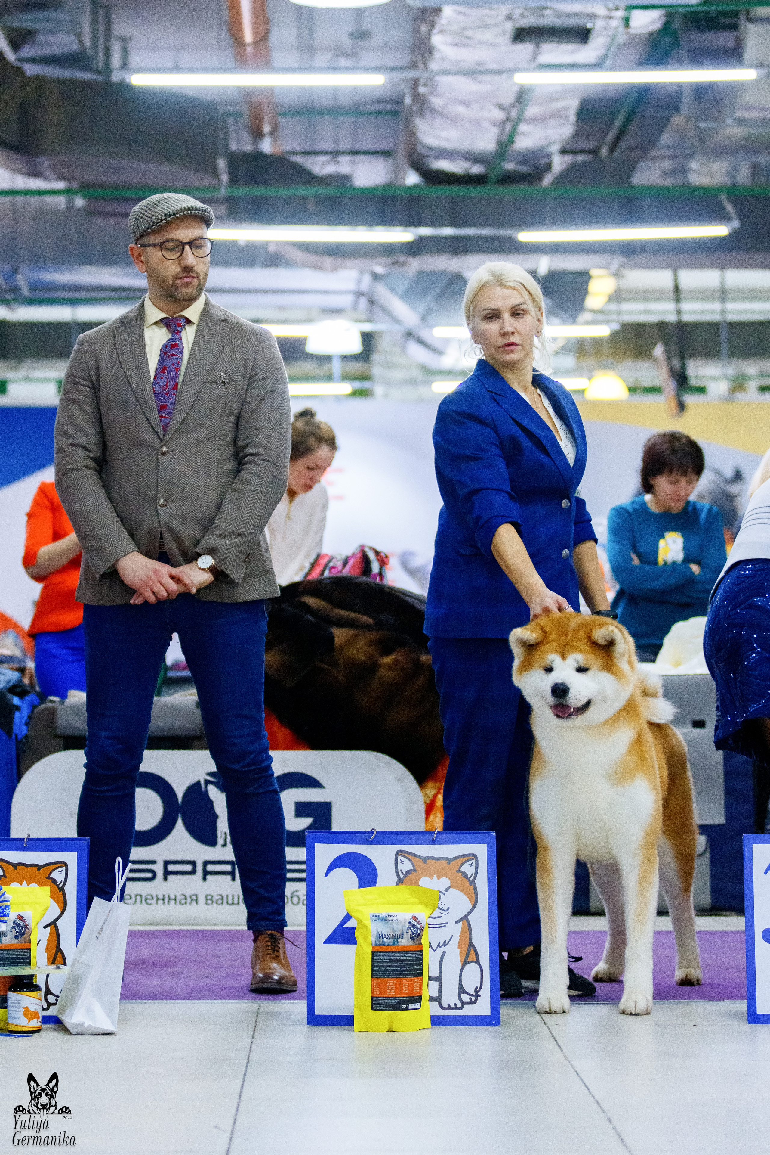 Чайна-Таун 3 и 10.12.2022. Фотограф-анималист Юлия Германика