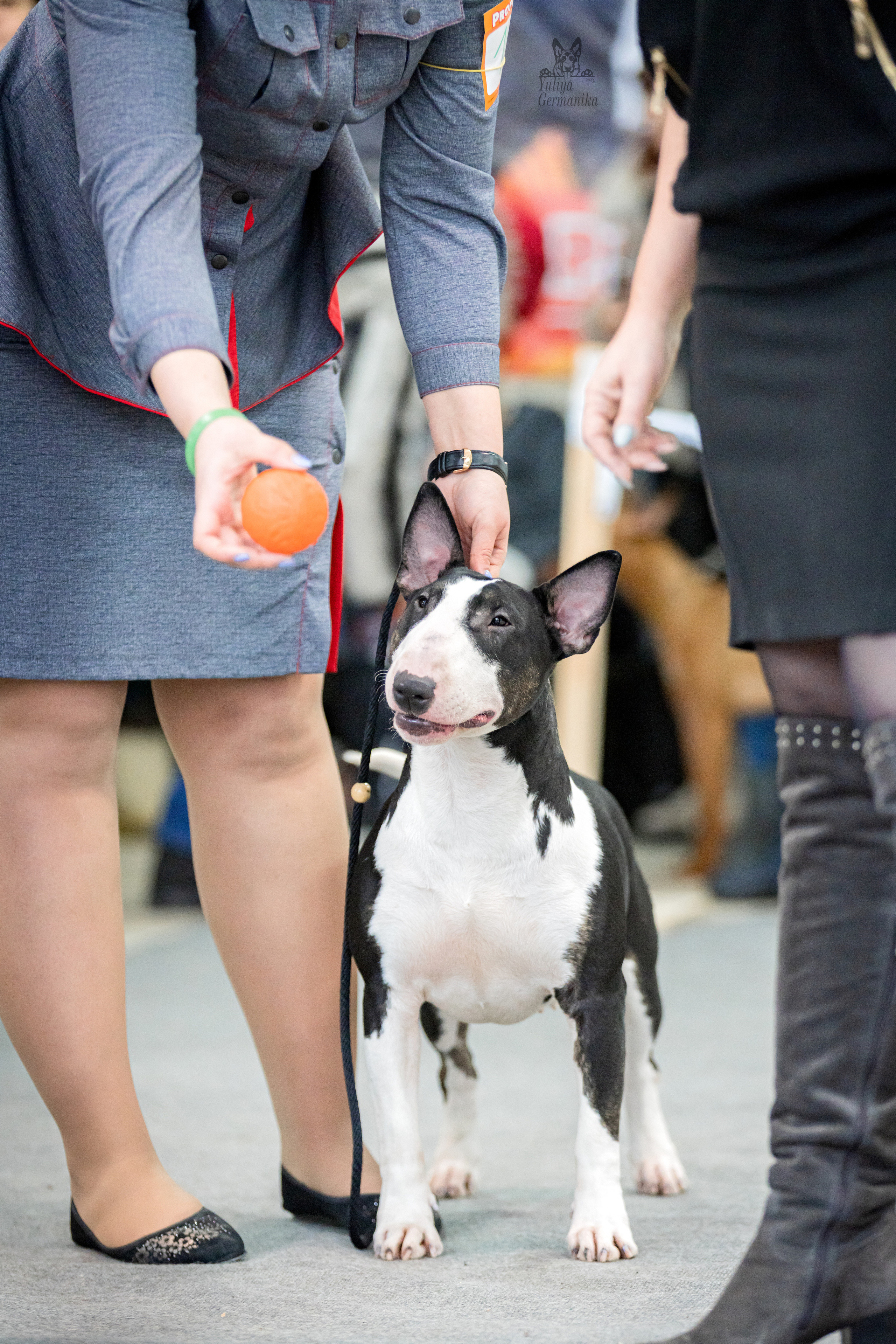 Тверь 19.02.2023. Фотограф-анималист Юлия Германика