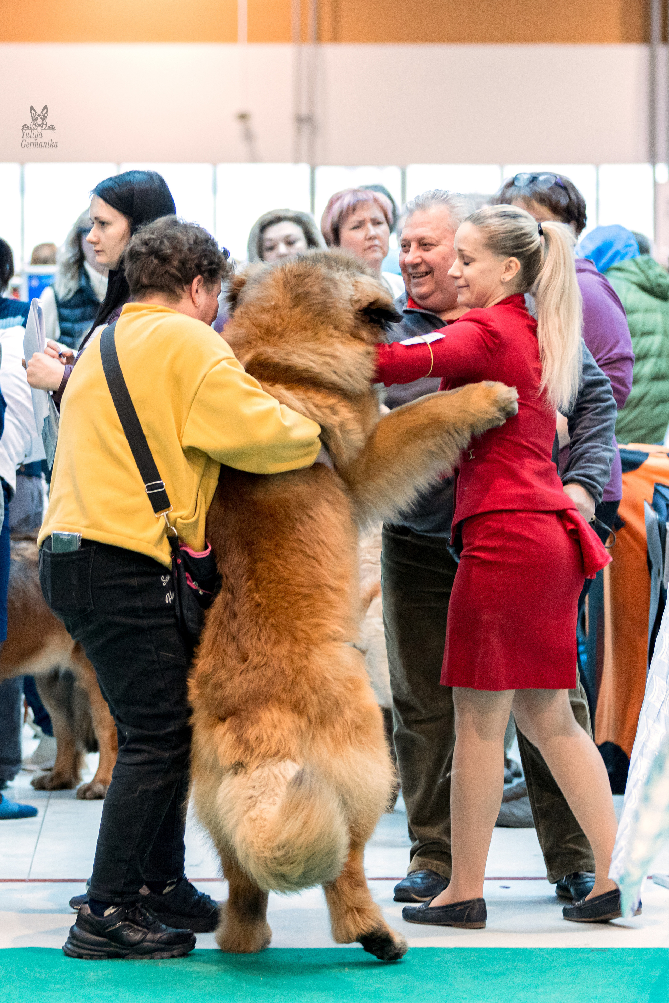 Минск 25-26.02.2023. Фотограф-анималист Юлия Германика