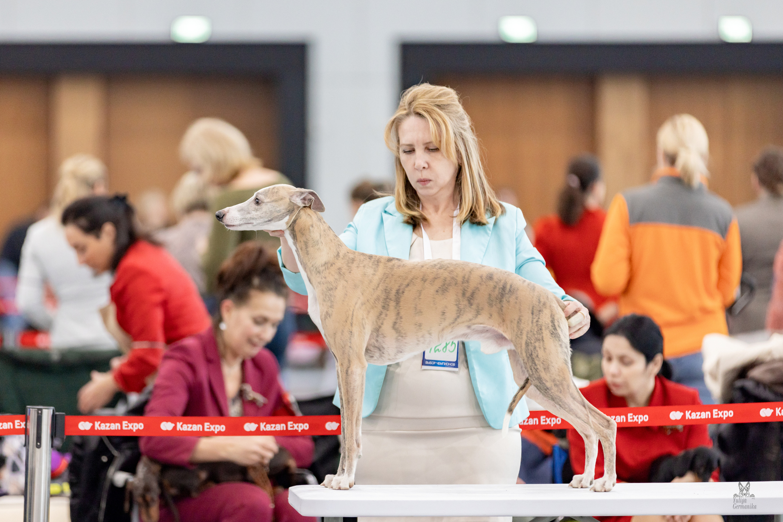 Сабанеевка,Казань 28-29.01.2023. Фотограф-анималист Юлия Германика