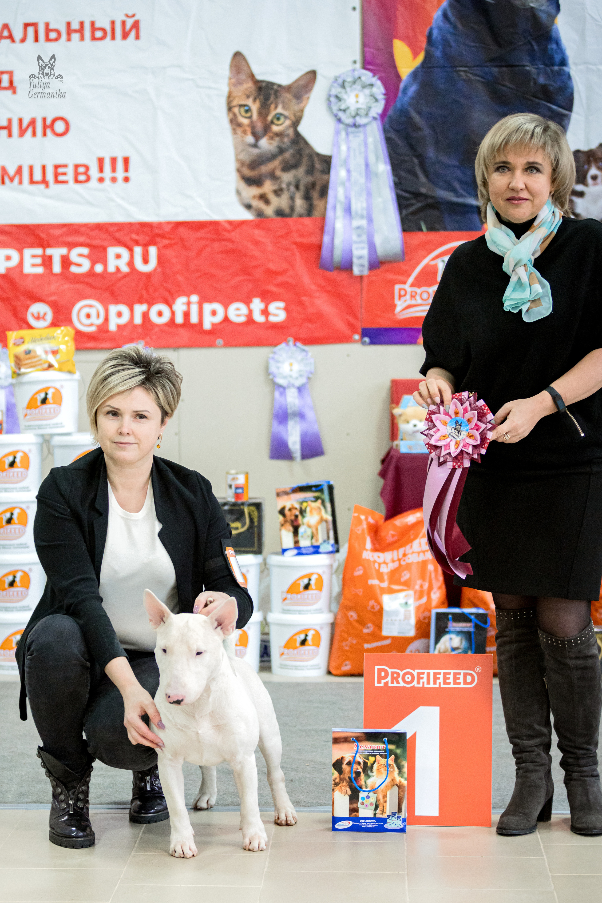 Тверь 19.02.2023. Фотограф-анималист Юлия Германика