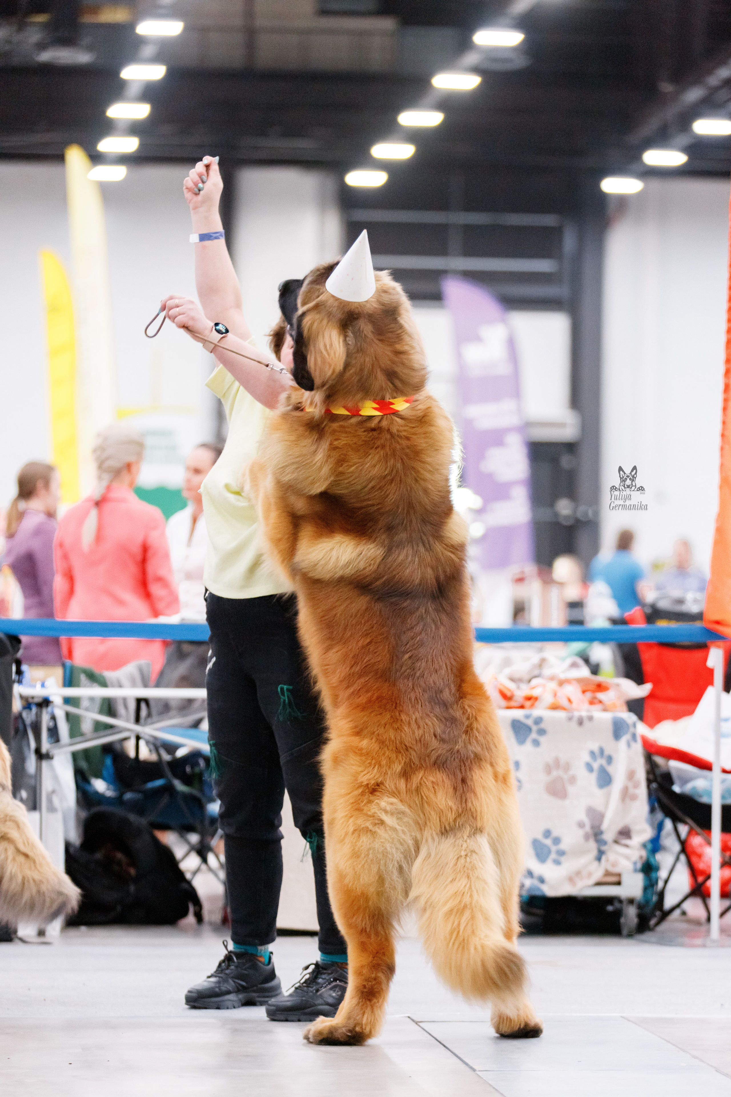 Питер 17-18.12.2022. Фотограф-анималист Юлия Германика