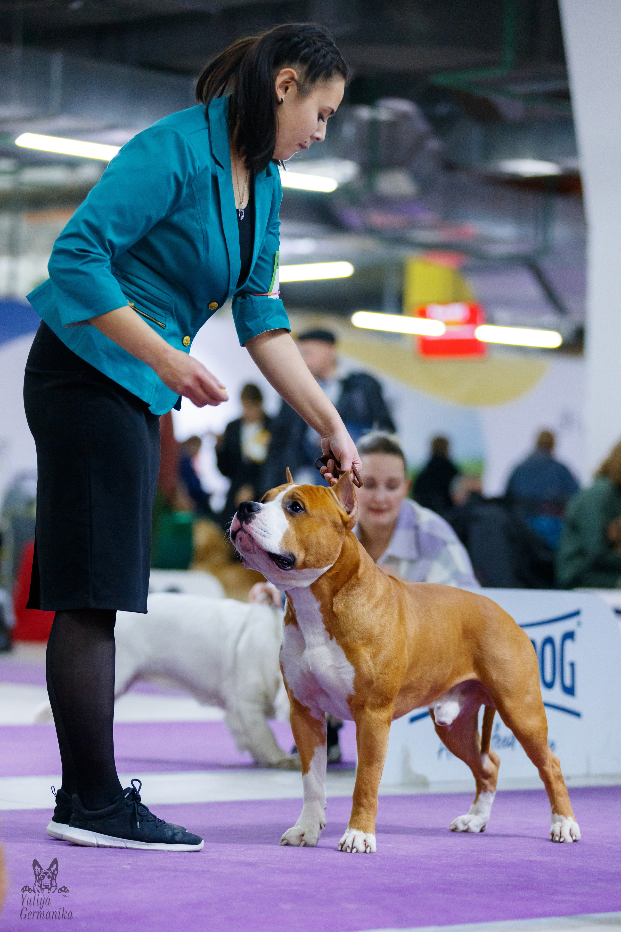 Чайна-Таун 3 и 10.12.2022. Фотограф-анималист Юлия Германика