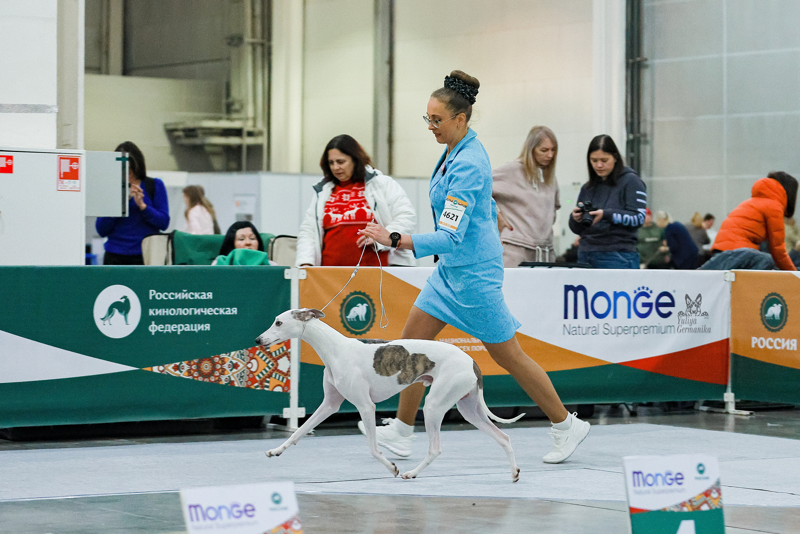 Россия 2020-2022 26-27.11.2022. Фотограф-анималист Юлия Германика