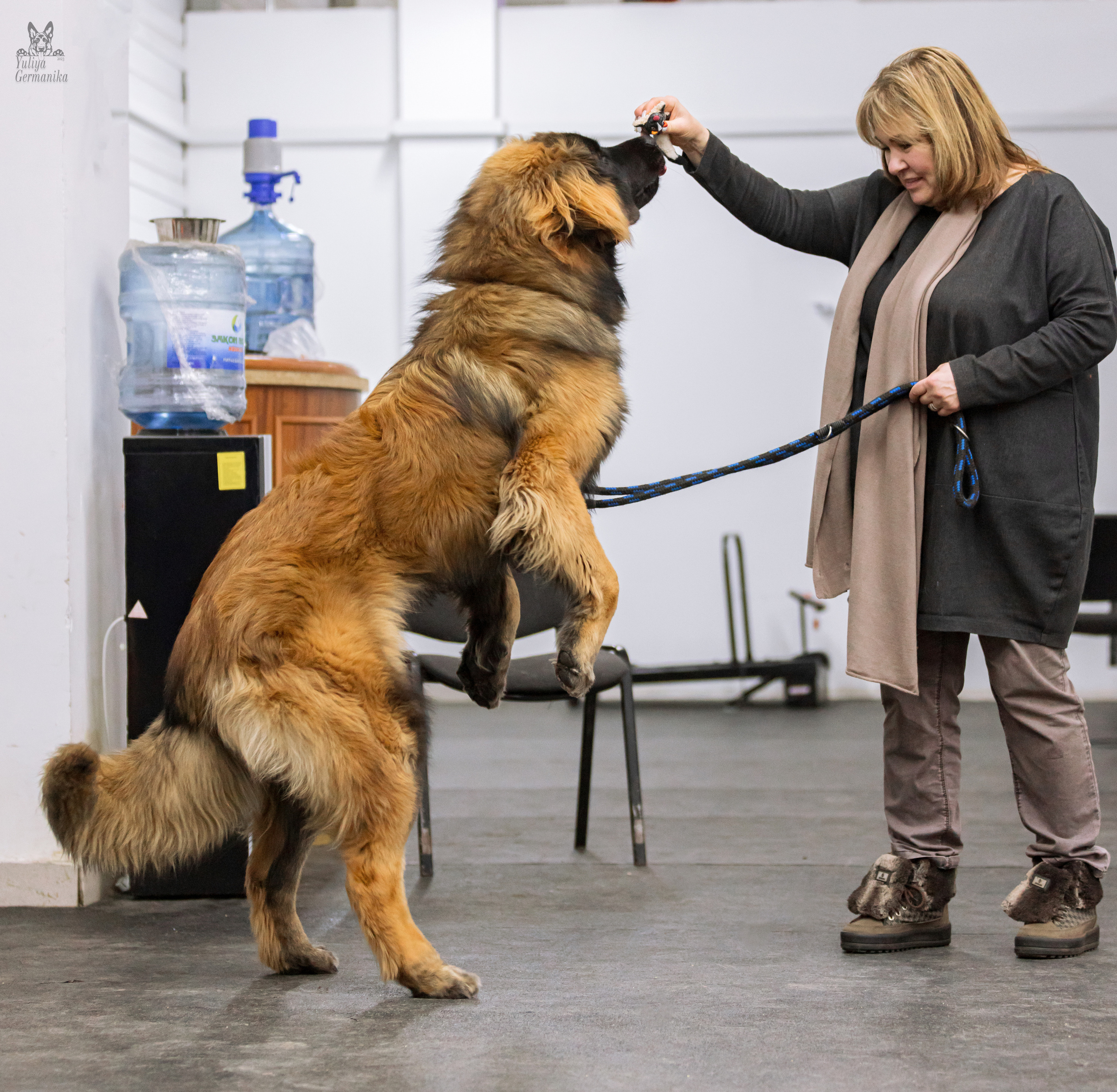 Чайна-Таун 4-5.02.2023. Фотограф-анималист Юлия Германика
