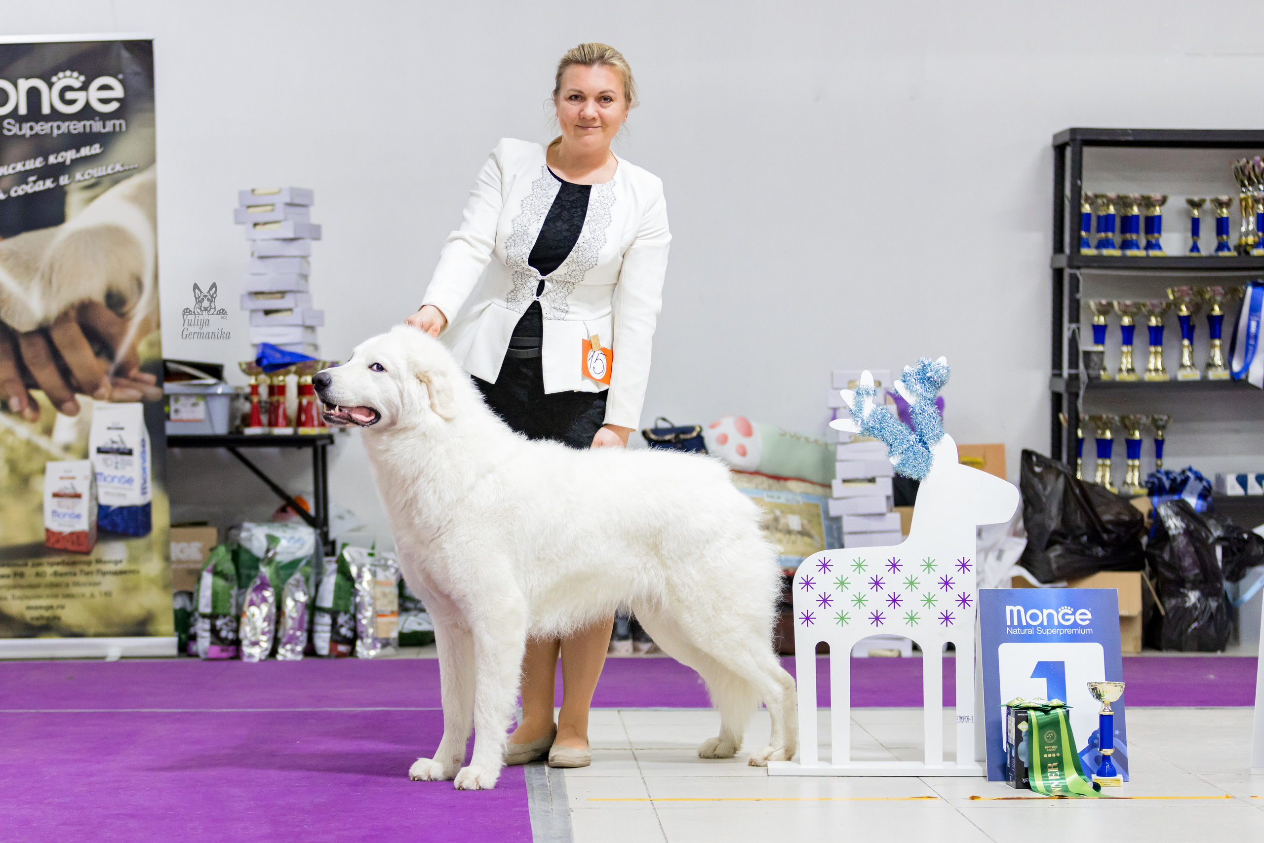 Чайна-Таун 24-25.12.2022. Фотограф-анималист Юлия Германика