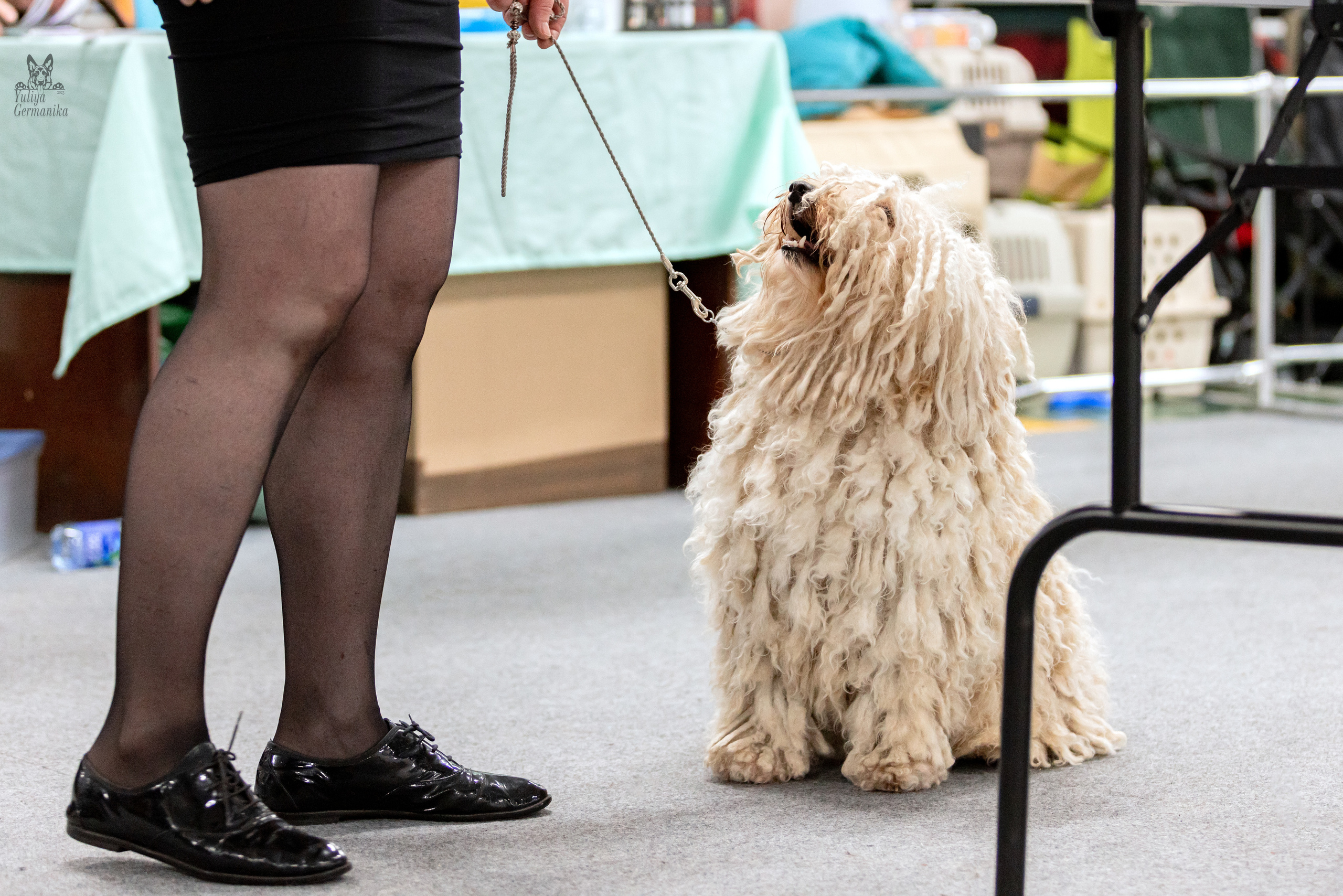 Сфера 5.03.2023. Фотограф-анималист Юлия Германика