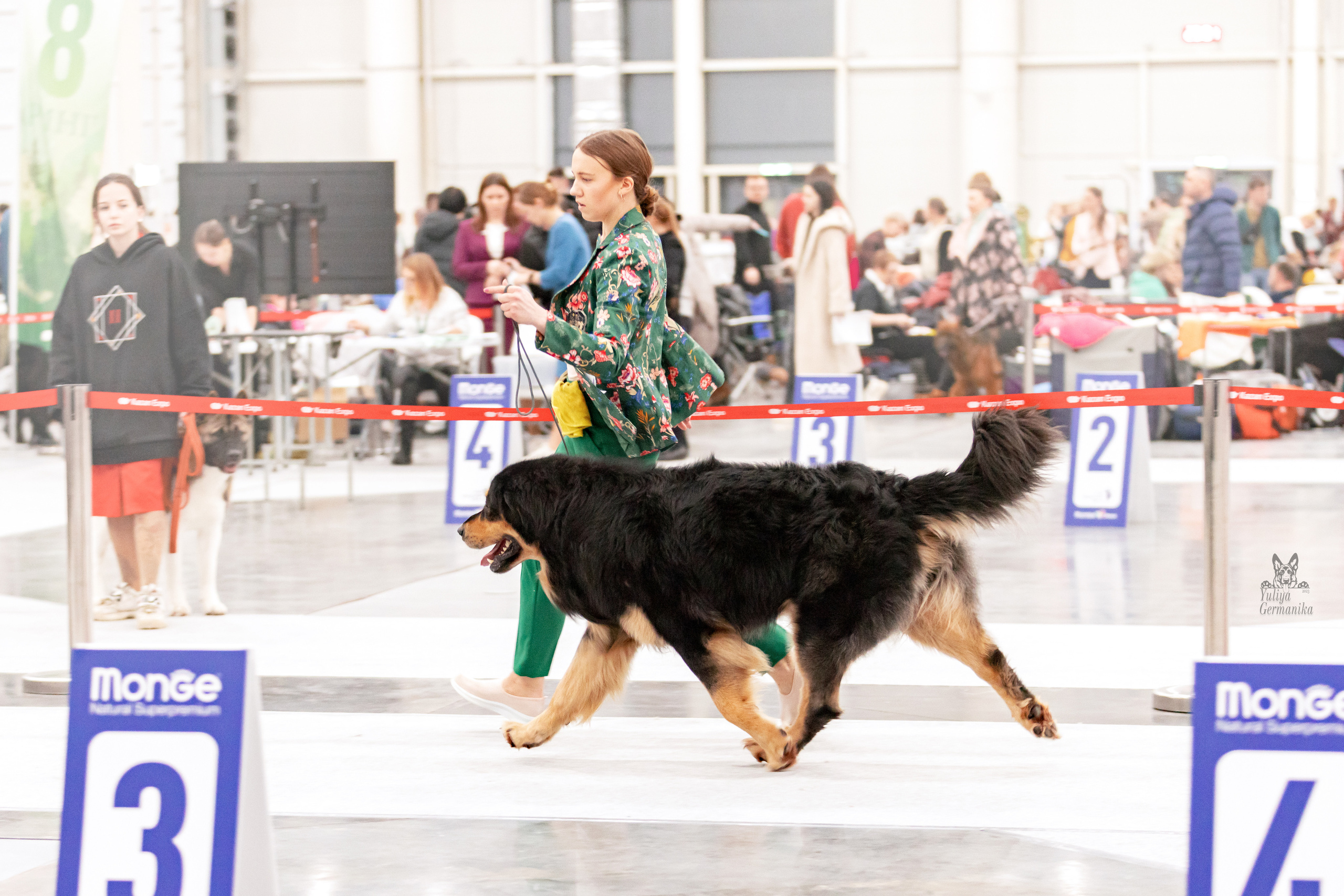 Сабанеевка,Казань 28-29.01.2023. Фотограф-анималист Юлия Германика
