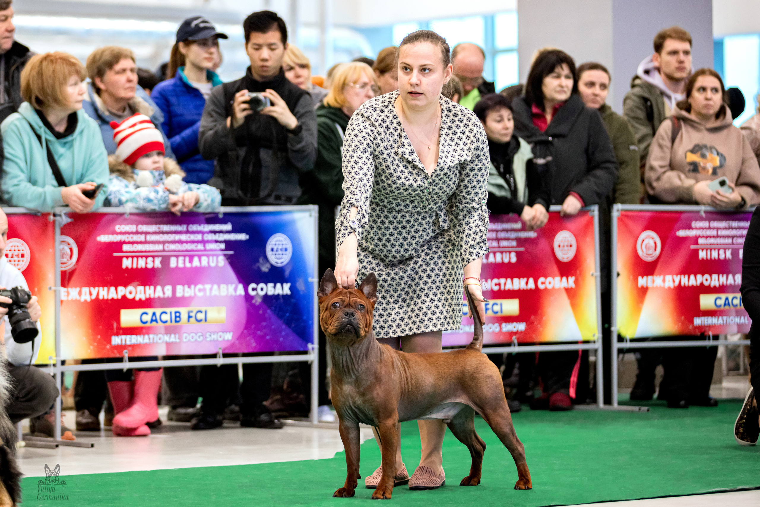 Минск 25-26.02.2023. Фотограф-анималист Юлия Германика