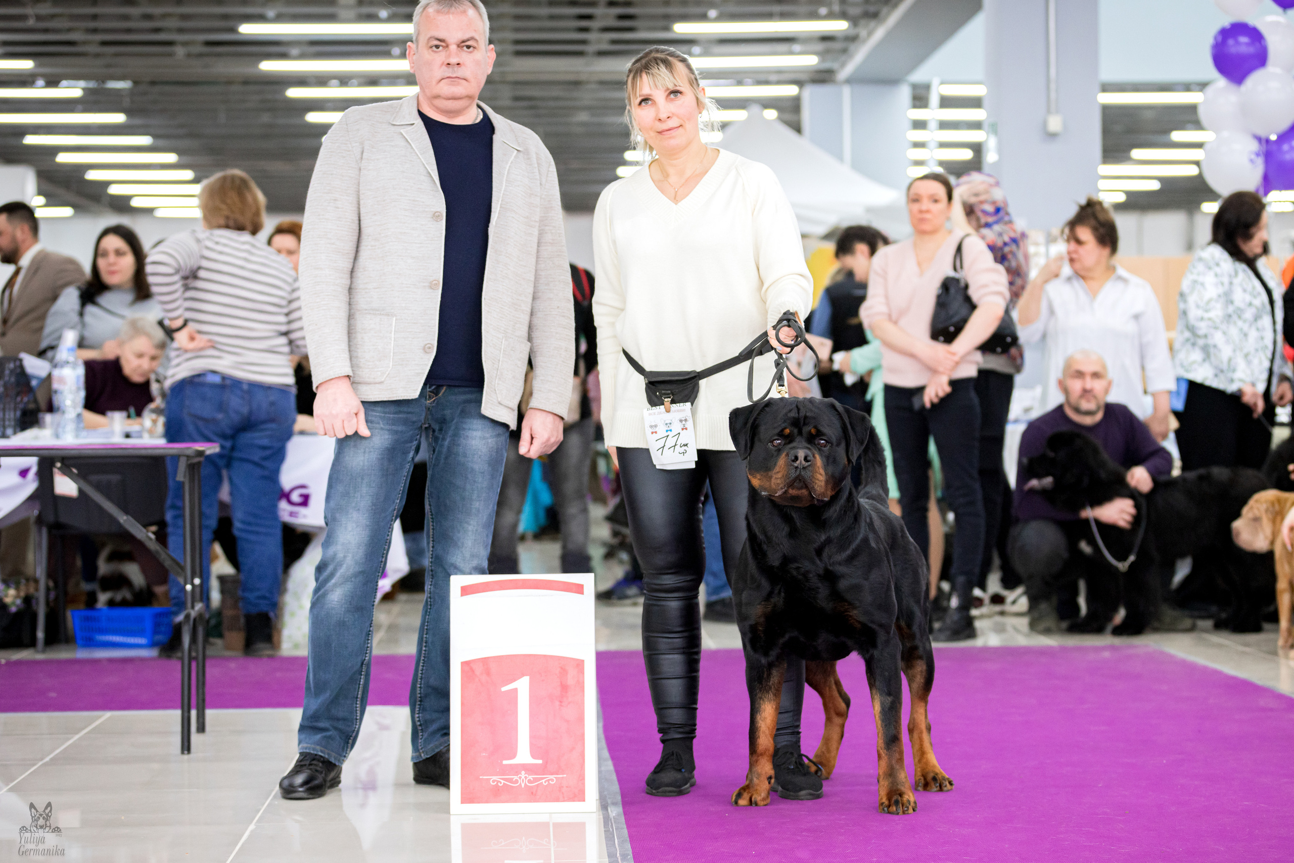 Можайский двор 11-12.02.2023. Фотограф-анималист Юлия Германика