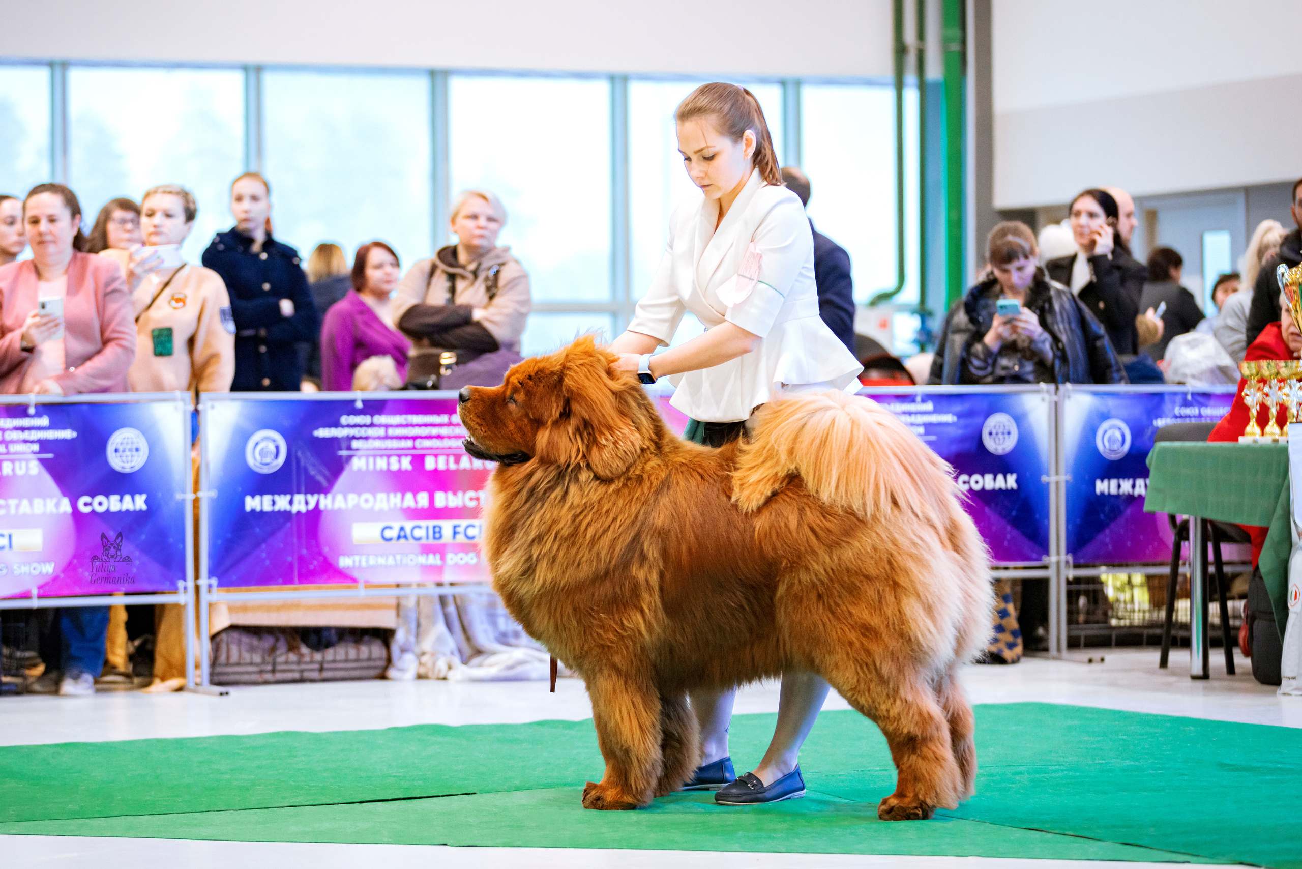 Минск 25-26.02.2023. Фотограф-анималист Юлия Германика