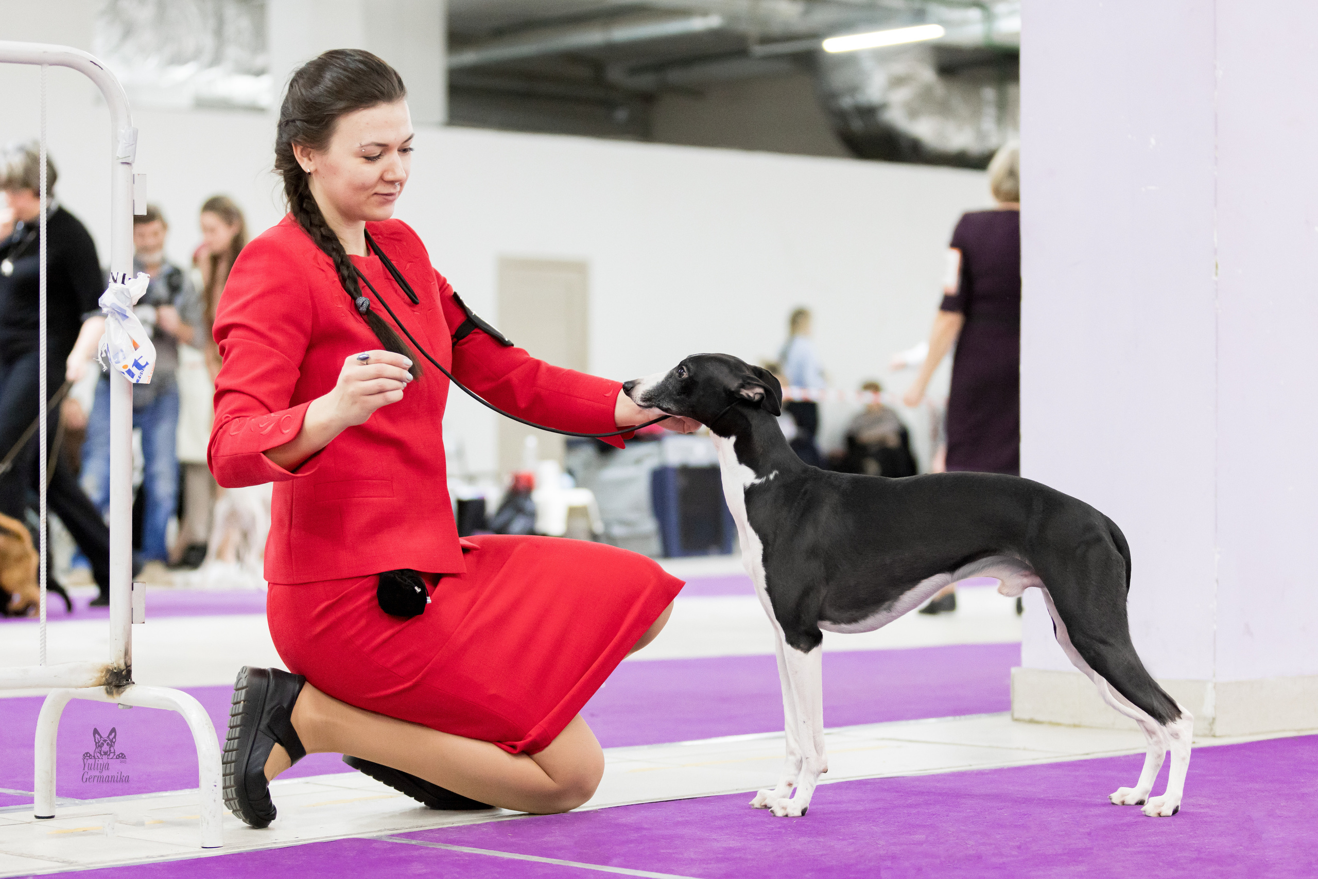 Чайна-Таун 5-8.01.2023. Фотограф-анималист Юлия Германика