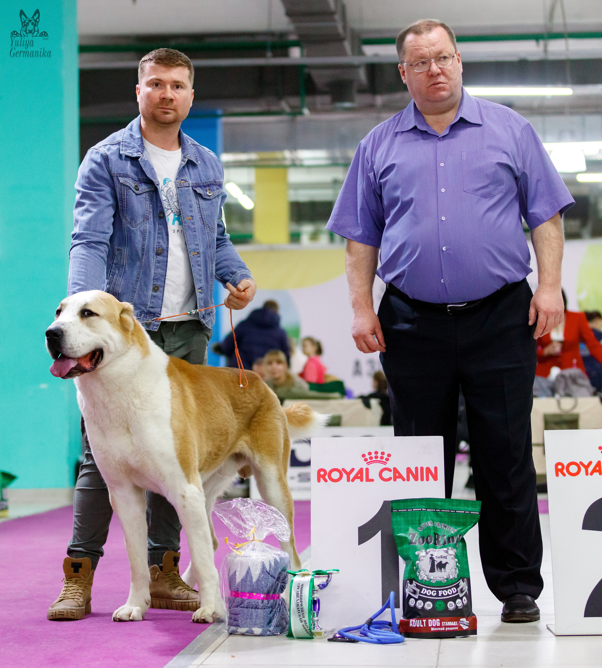 Чайна-Таун 3 и 10.12.2022. Фотограф-анималист Юлия Германика