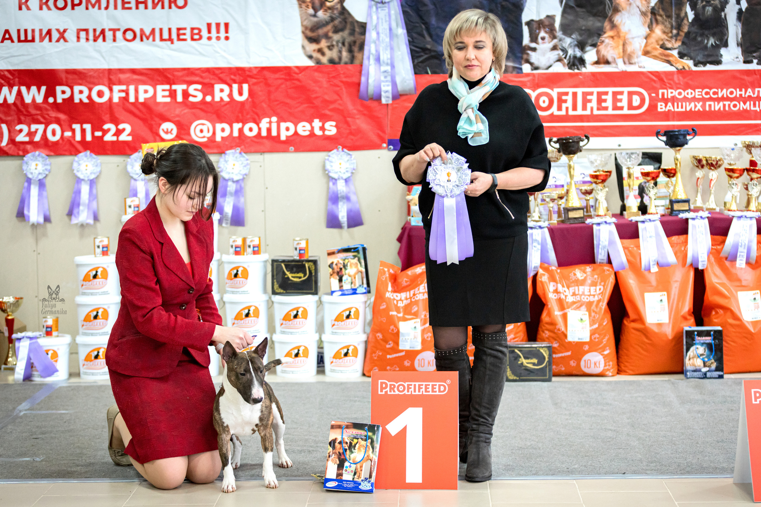 Тверь 19.02.2023. Фотограф-анималист Юлия Германика