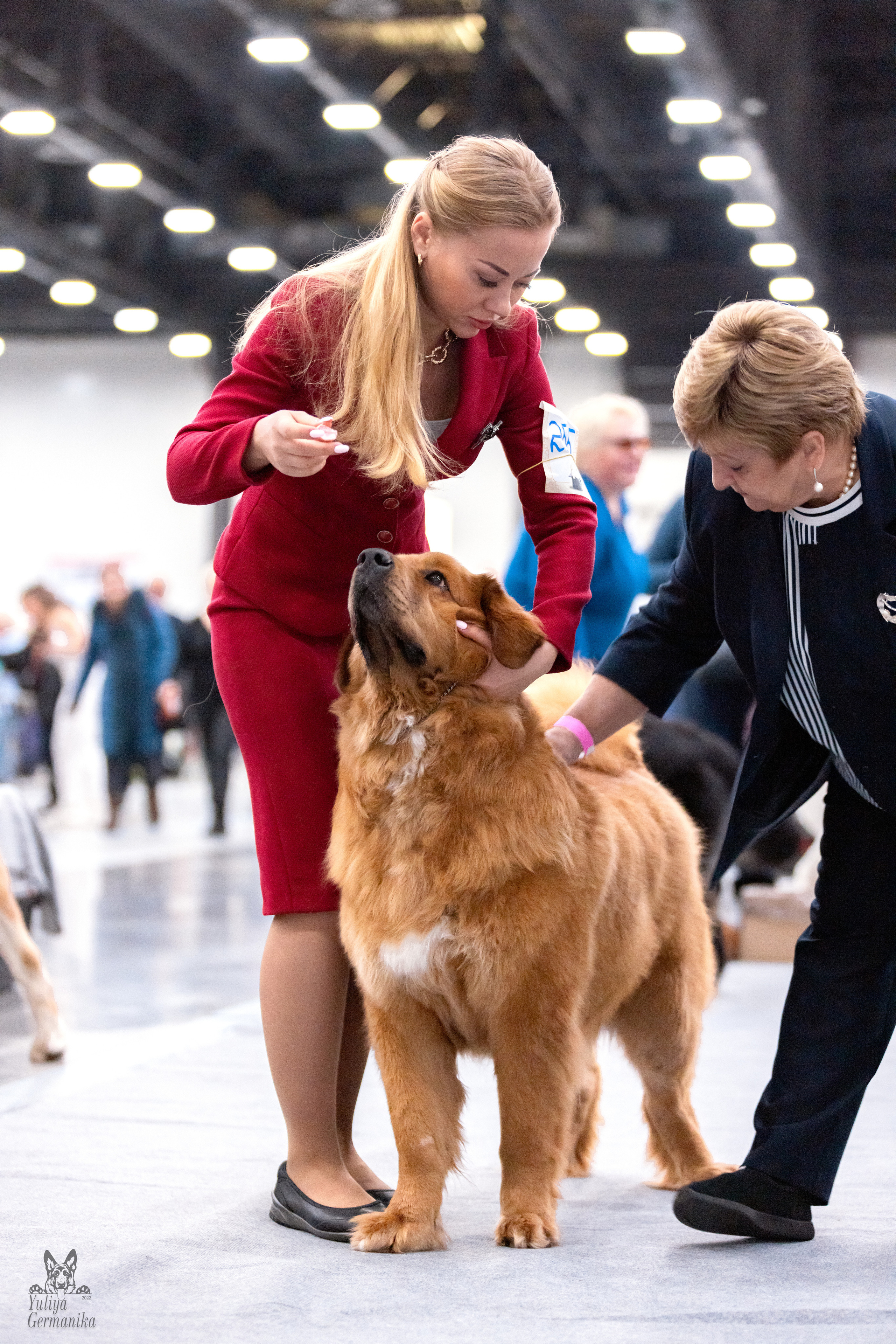 Питер 17-18.12.2022. Фотограф-анималист Юлия Германика