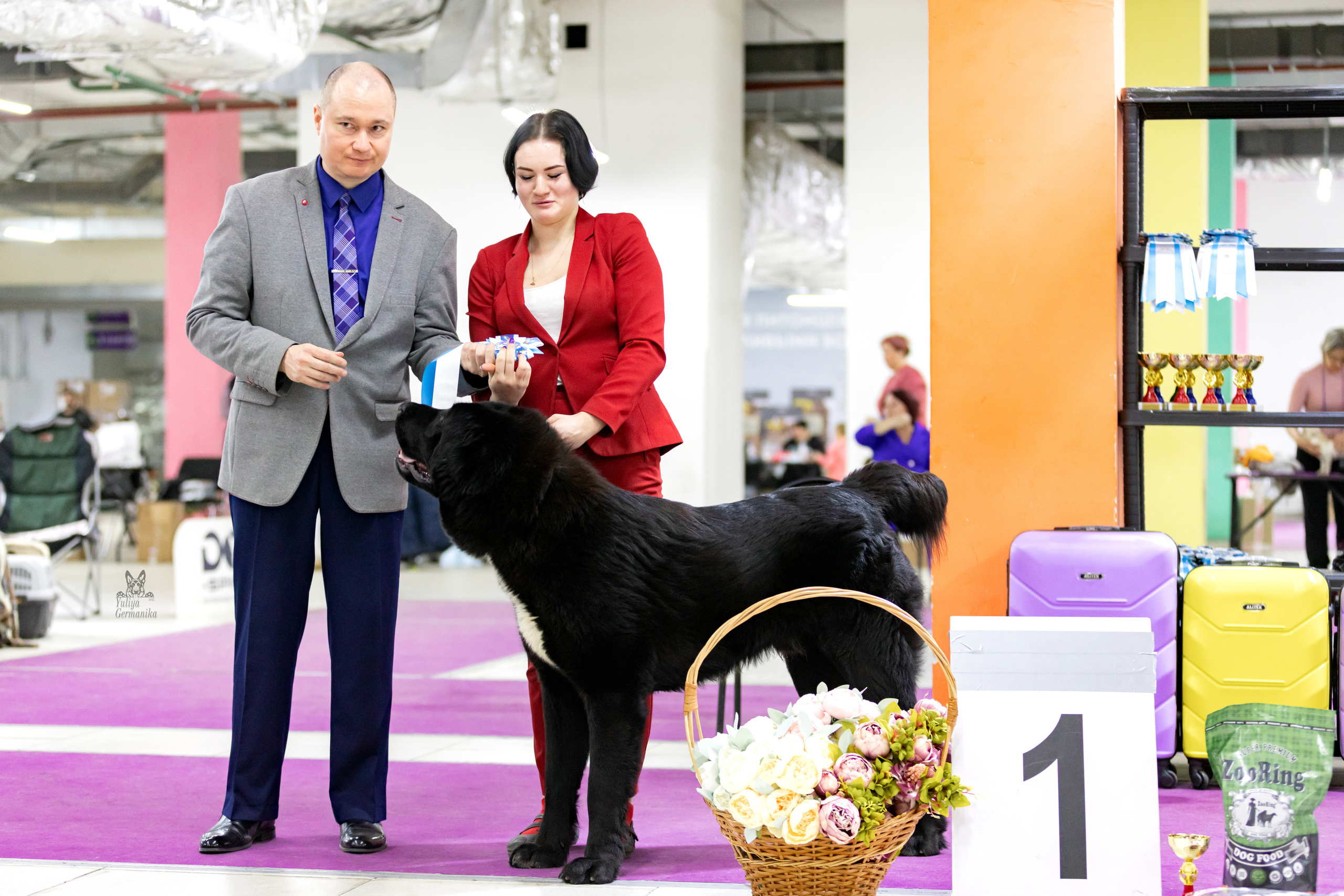 Чайна-Таун 4-5.02.2023. Фотограф-анималист Юлия Германика