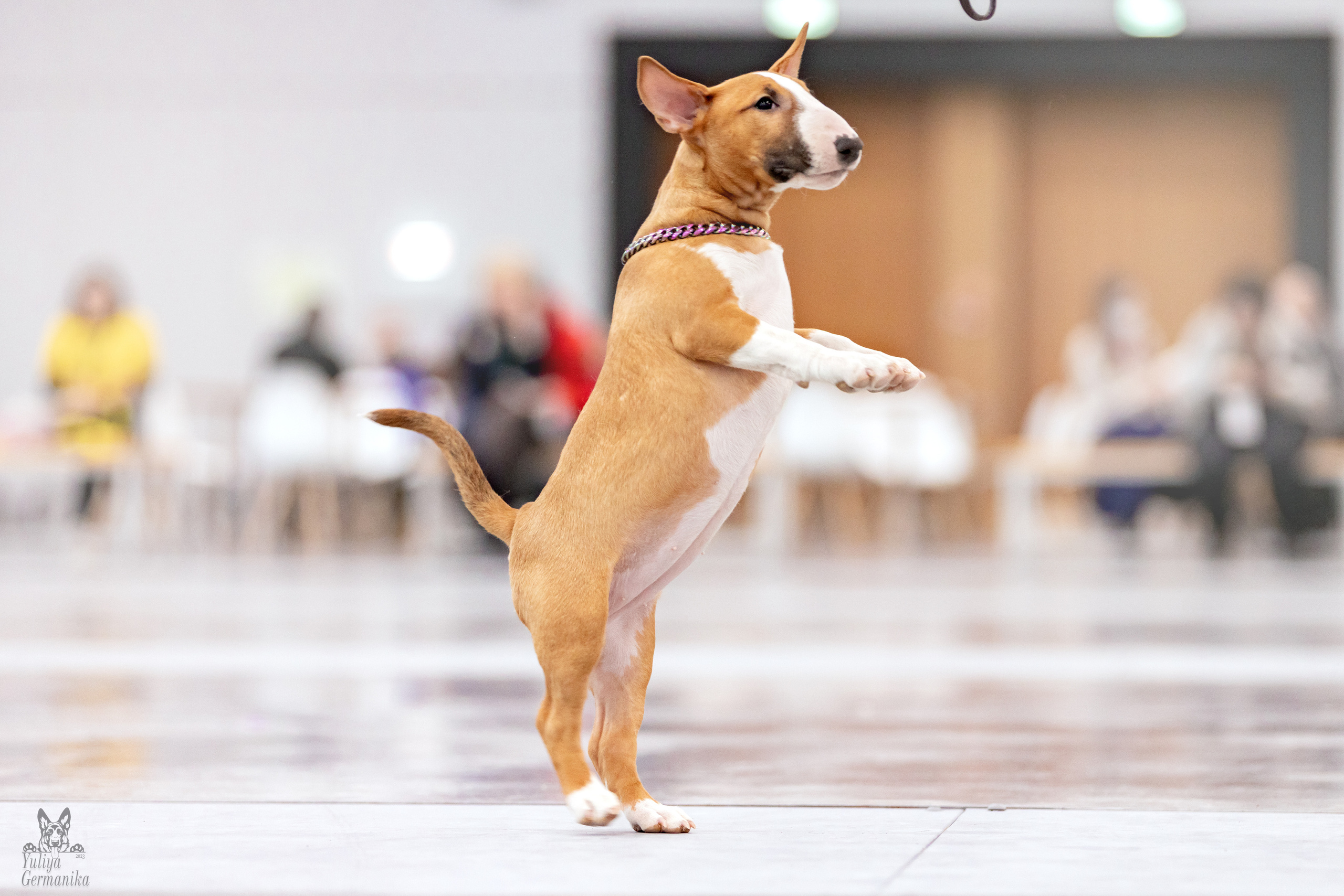 Сабанеевка,Казань 28-29.01.2023. Фотограф-анималист Юлия Германика