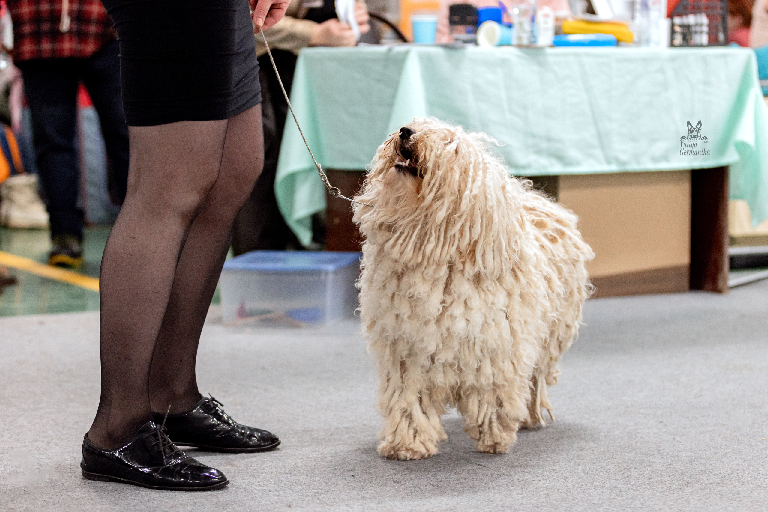 Сфера 5.03.2023. Фотограф-анималист Юлия Германика