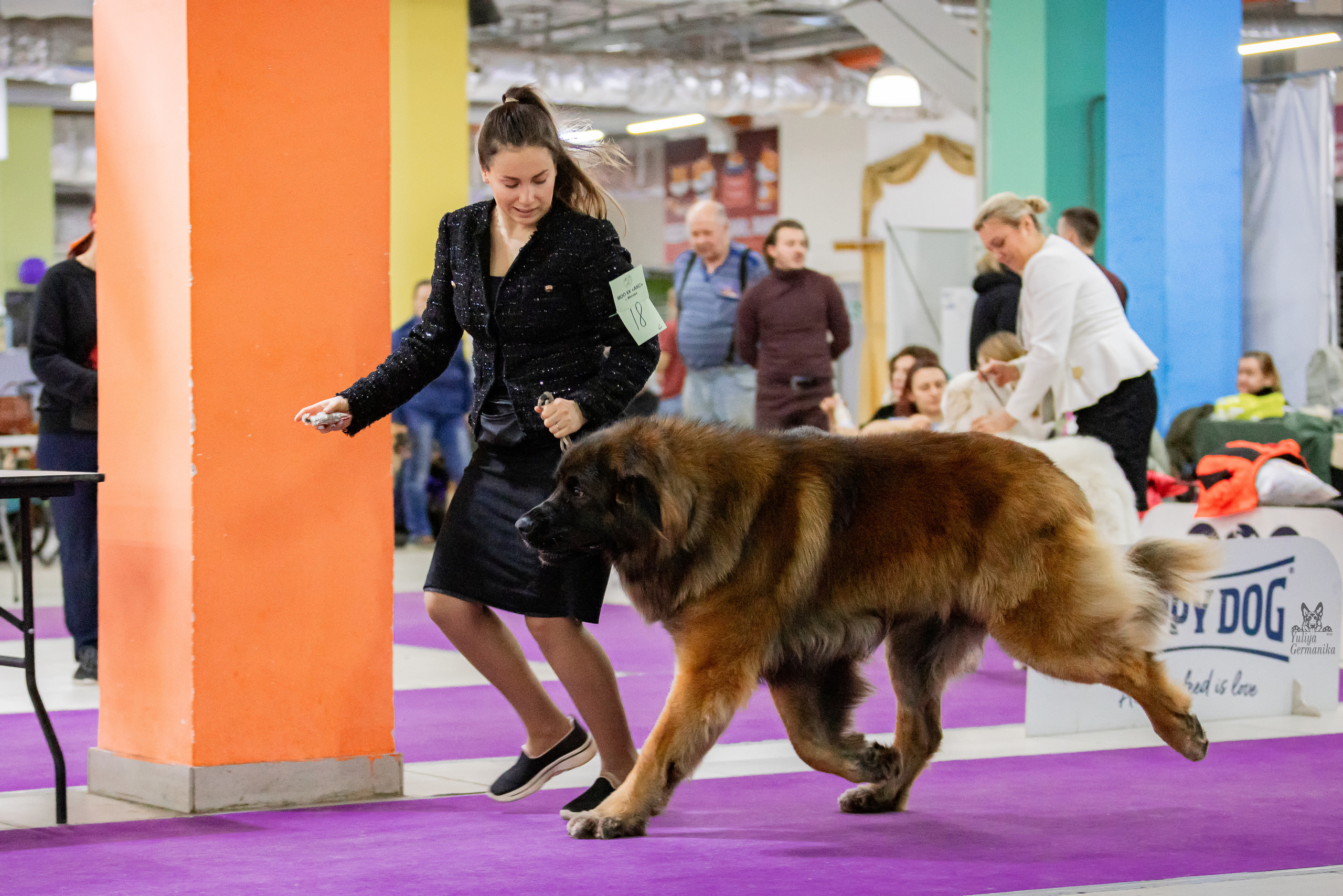 Чайна-Таун 24-25.12.2022. Фотограф-анималист Юлия Германика