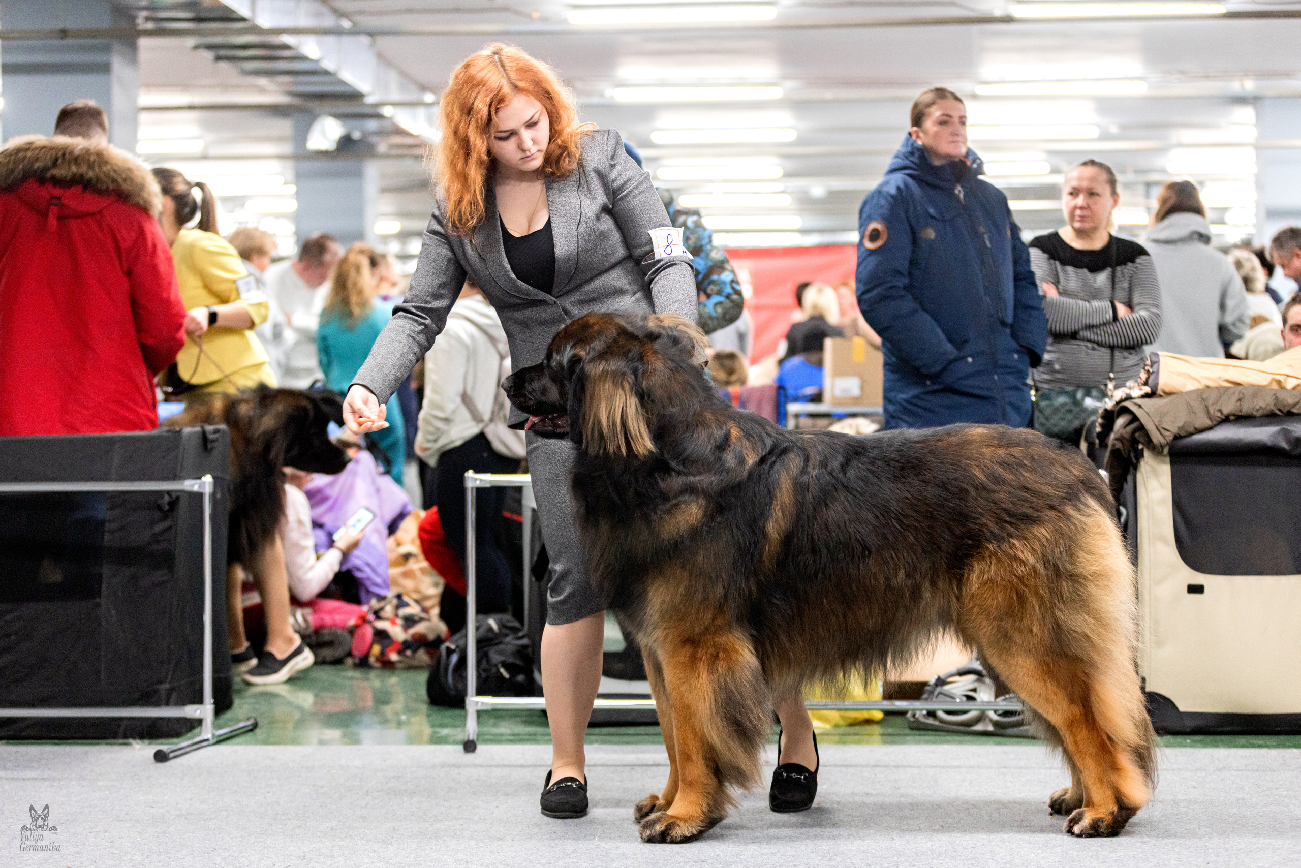 Сфера 5.03.2023. Фотограф-анималист Юлия Германика