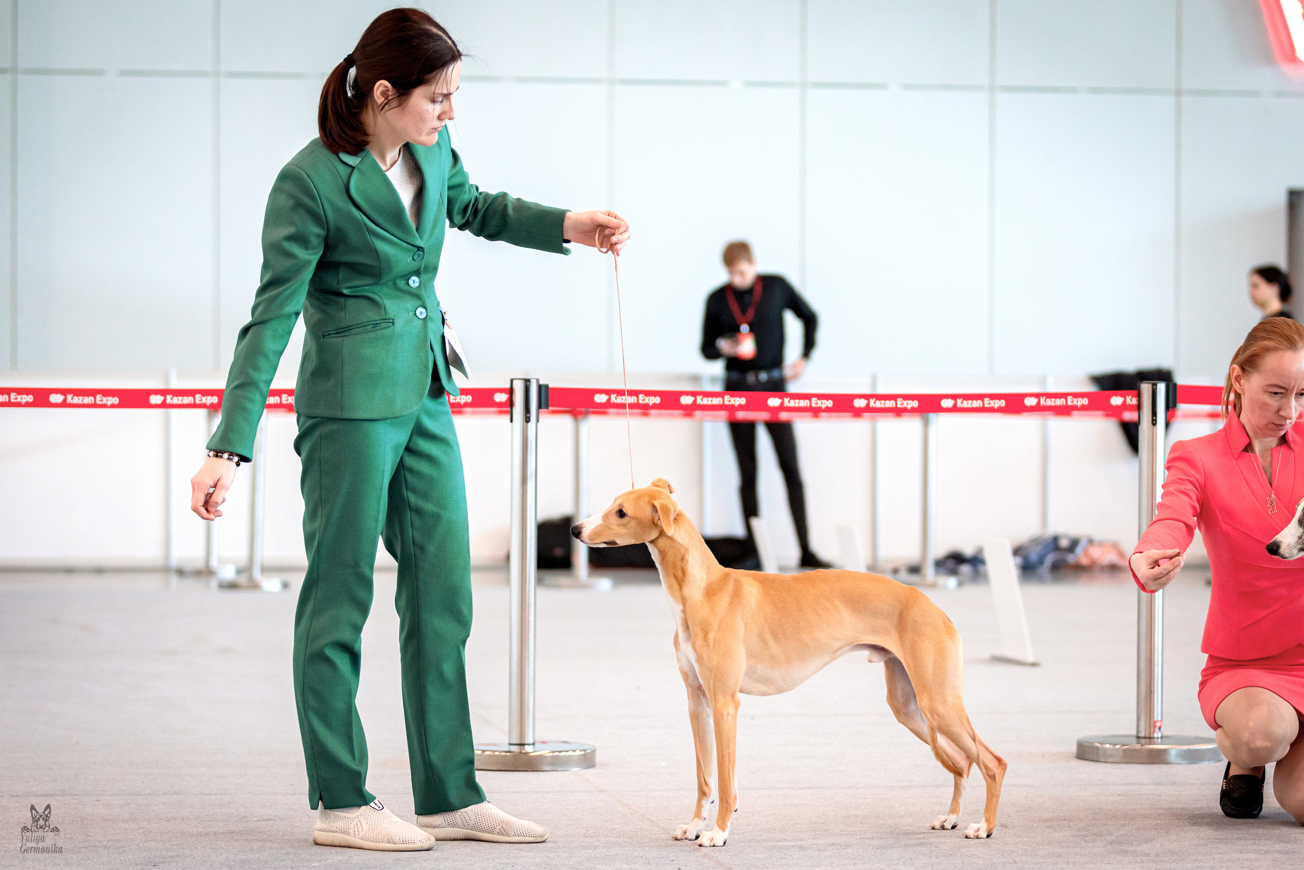 Казань 11.03.2023. Фотограф-анималист Юлия Германика