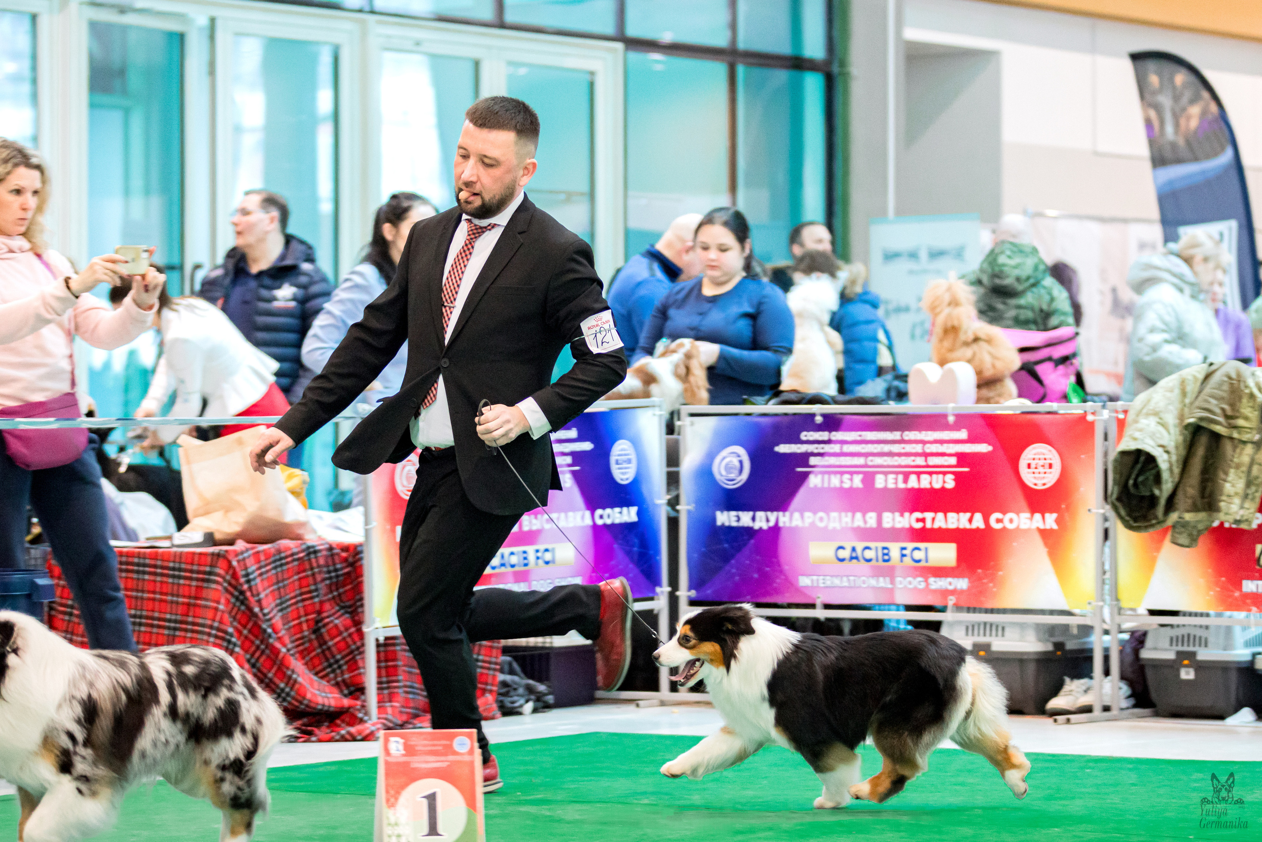 Минск 25-26.02.2023. Фотограф-анималист Юлия Германика