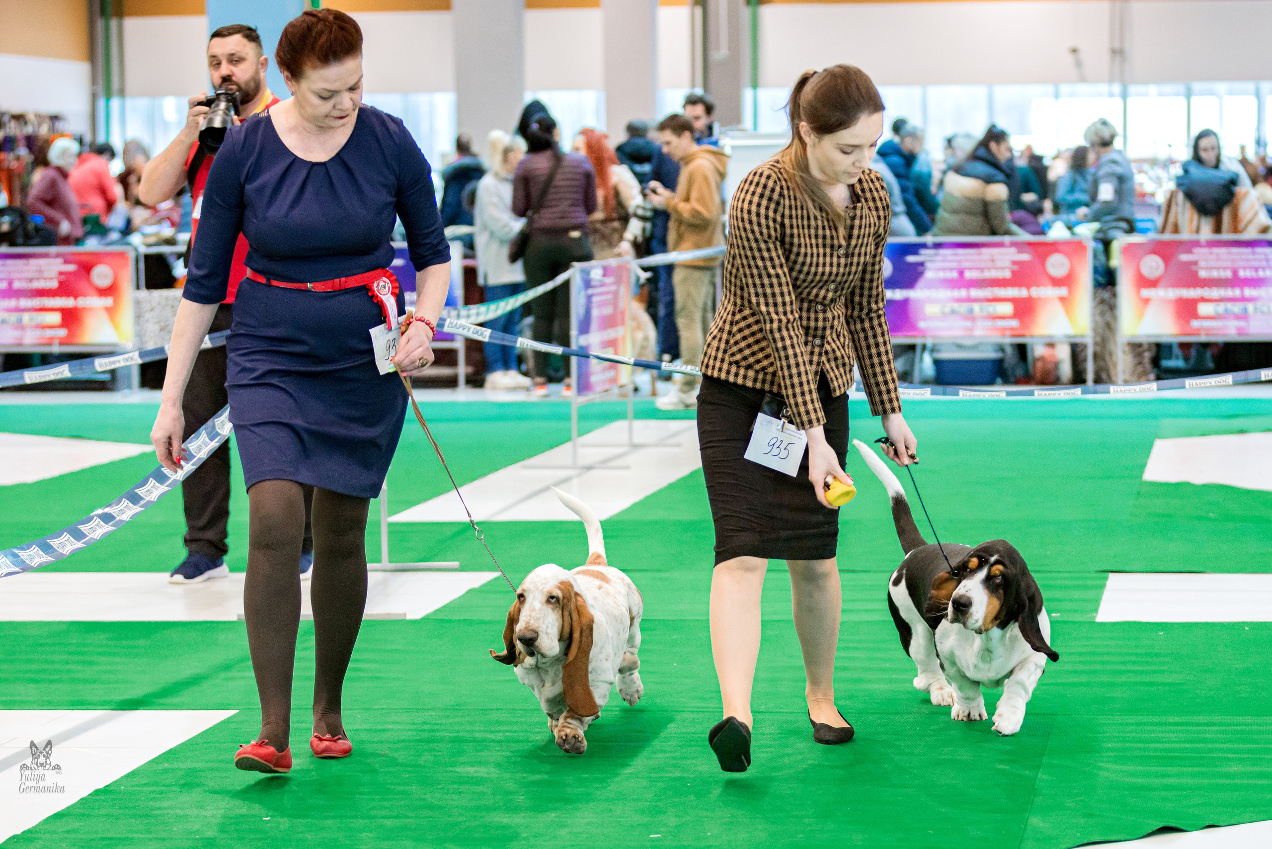 Минск 25-26.02.2023. Фотограф-анималист Юлия Германика