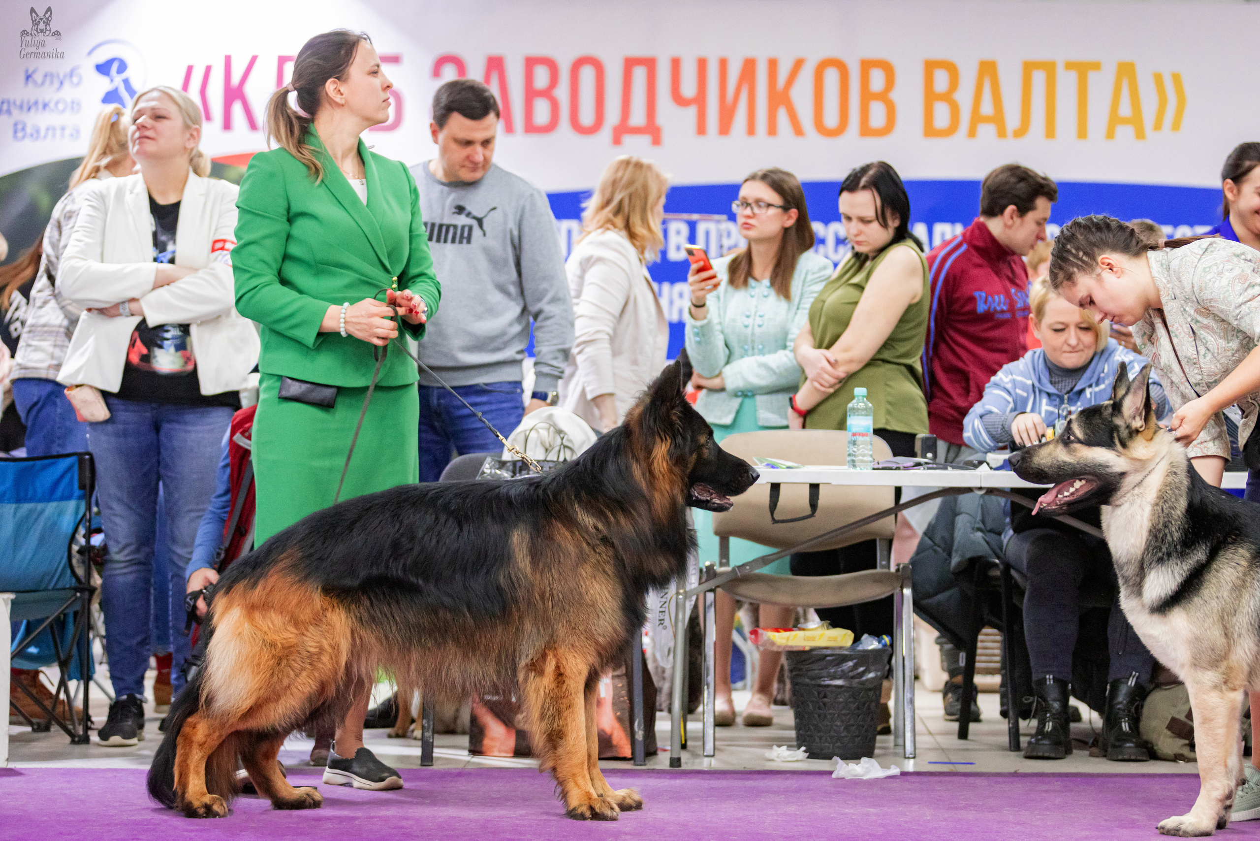 Чайна-Таун 15,21 и 22.01.2023. Фотограф-анималист Юлия Германика